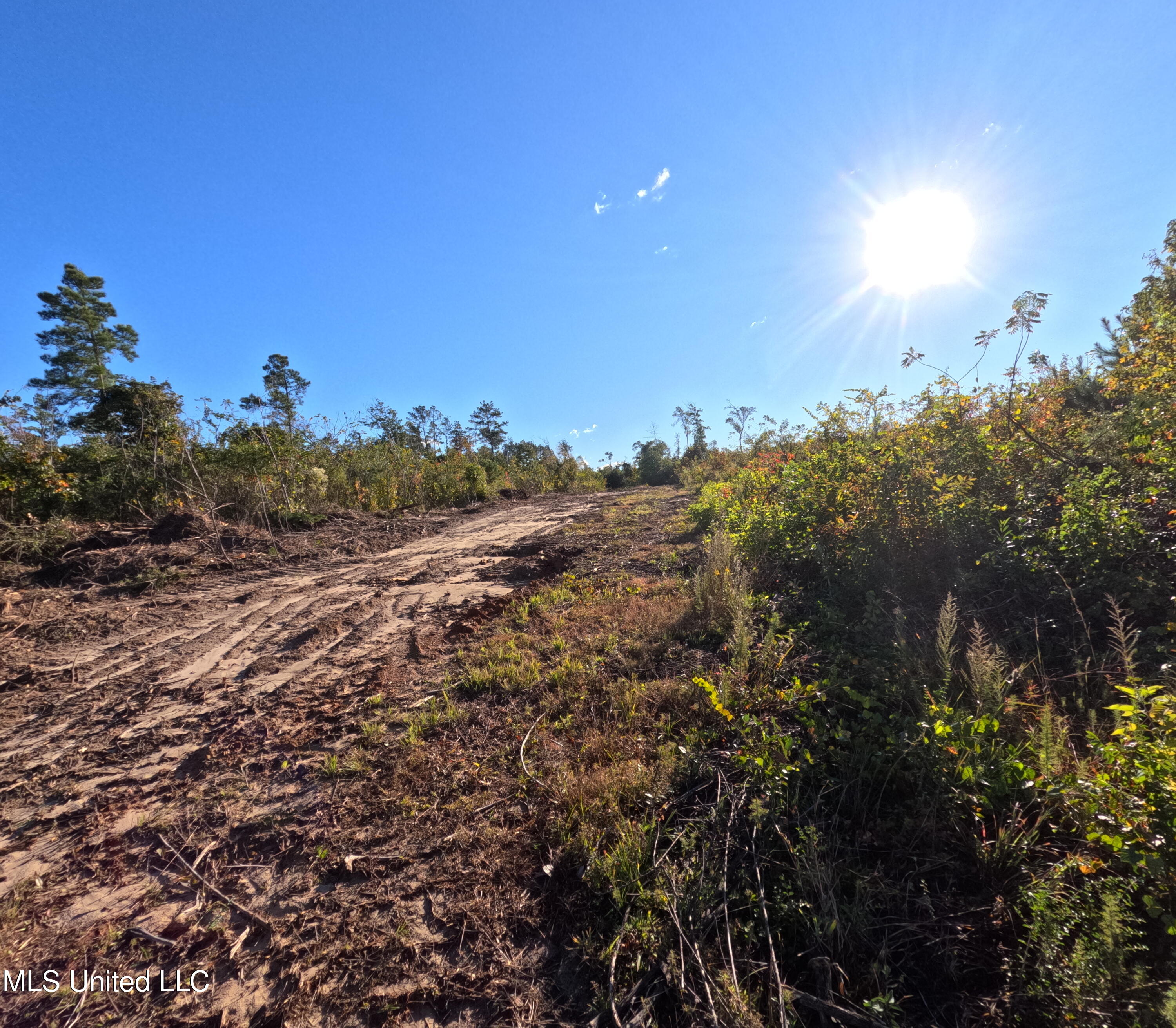 William Warren Road Property Photo 26