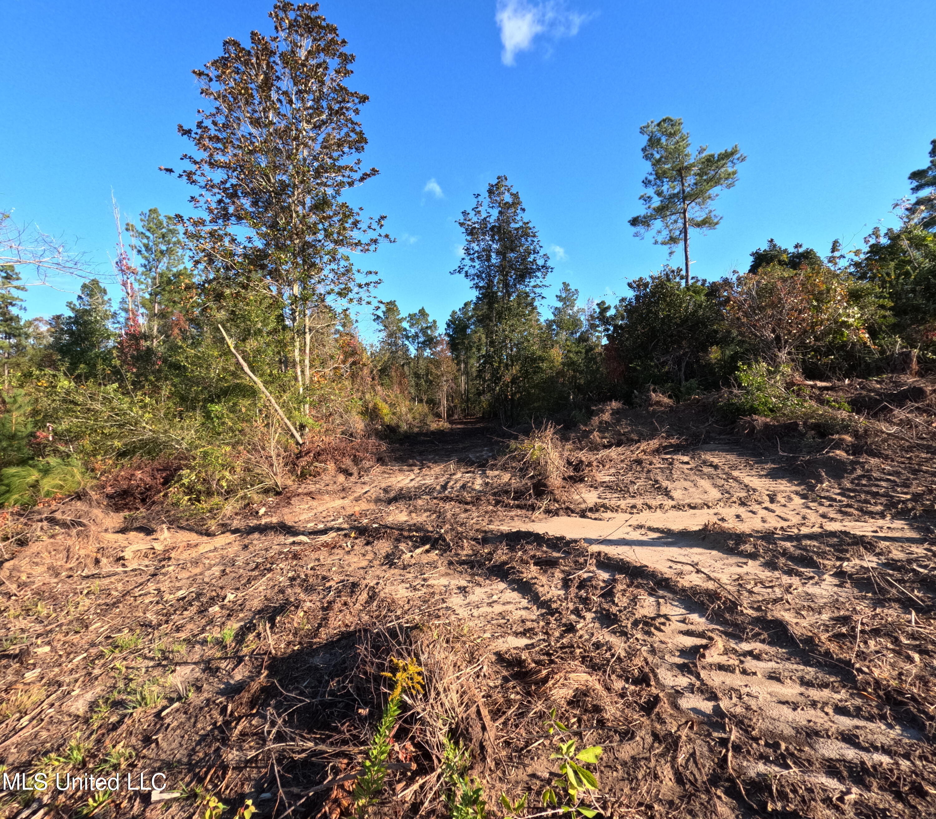 William Warren Road Property Photo 27
