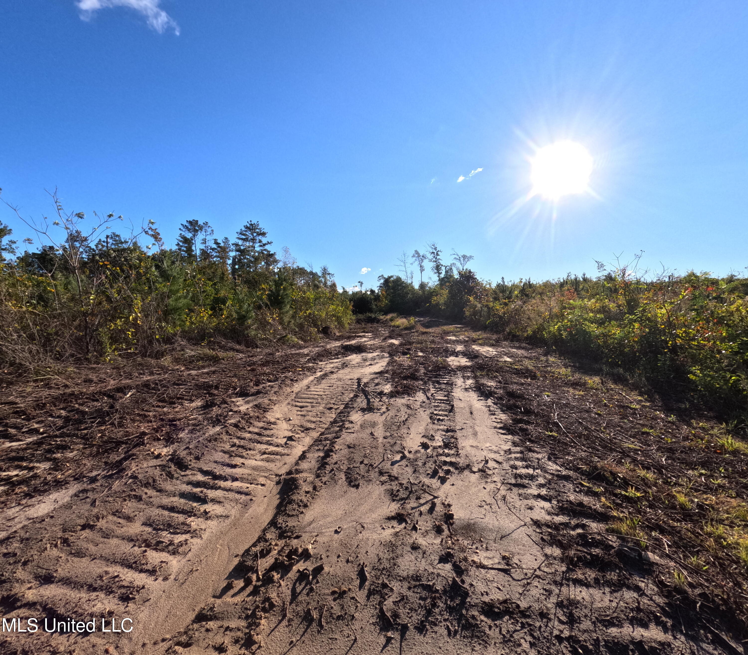 William Warren Road Property Photo 28