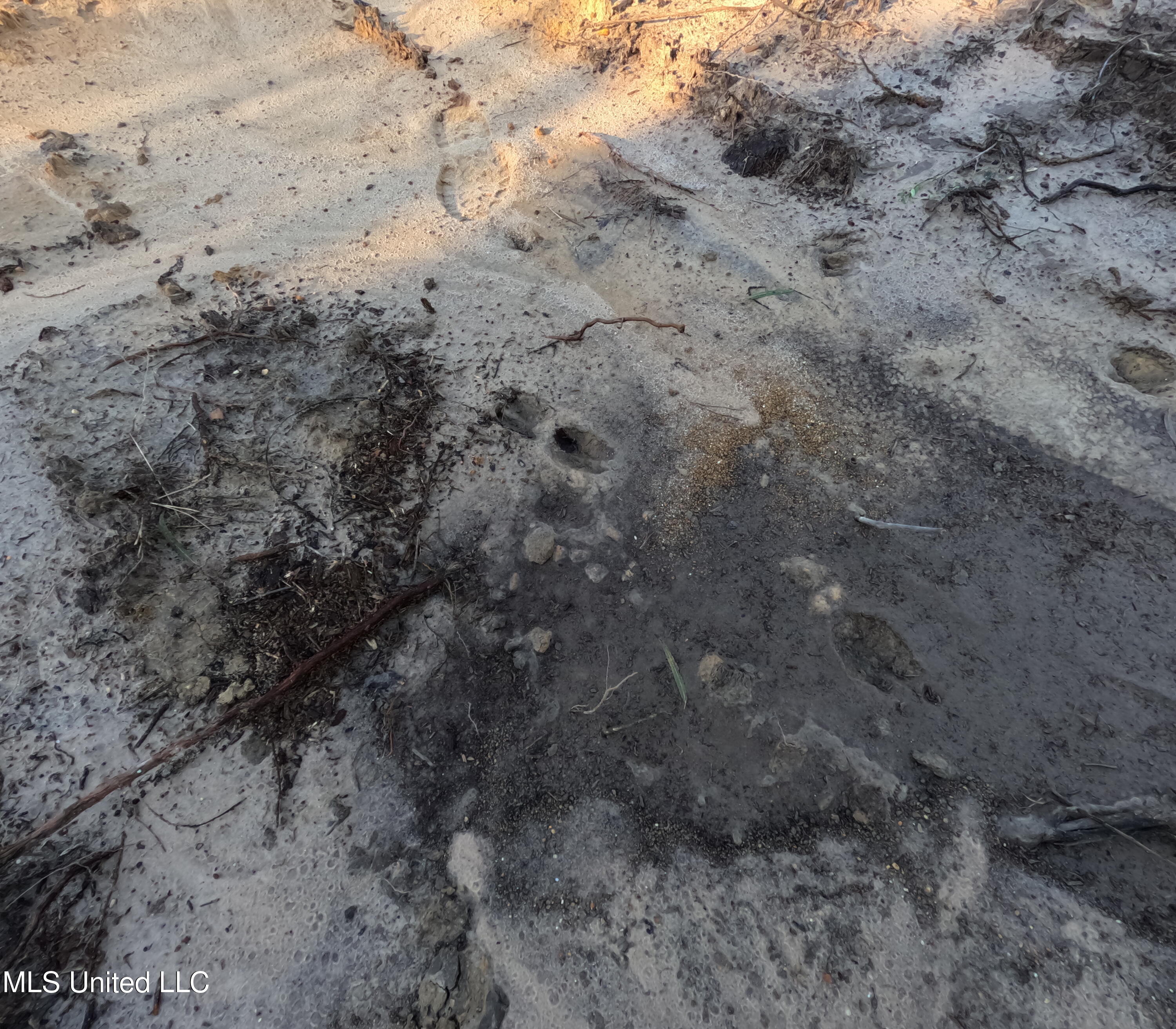 William Warren Road Property Photo 29