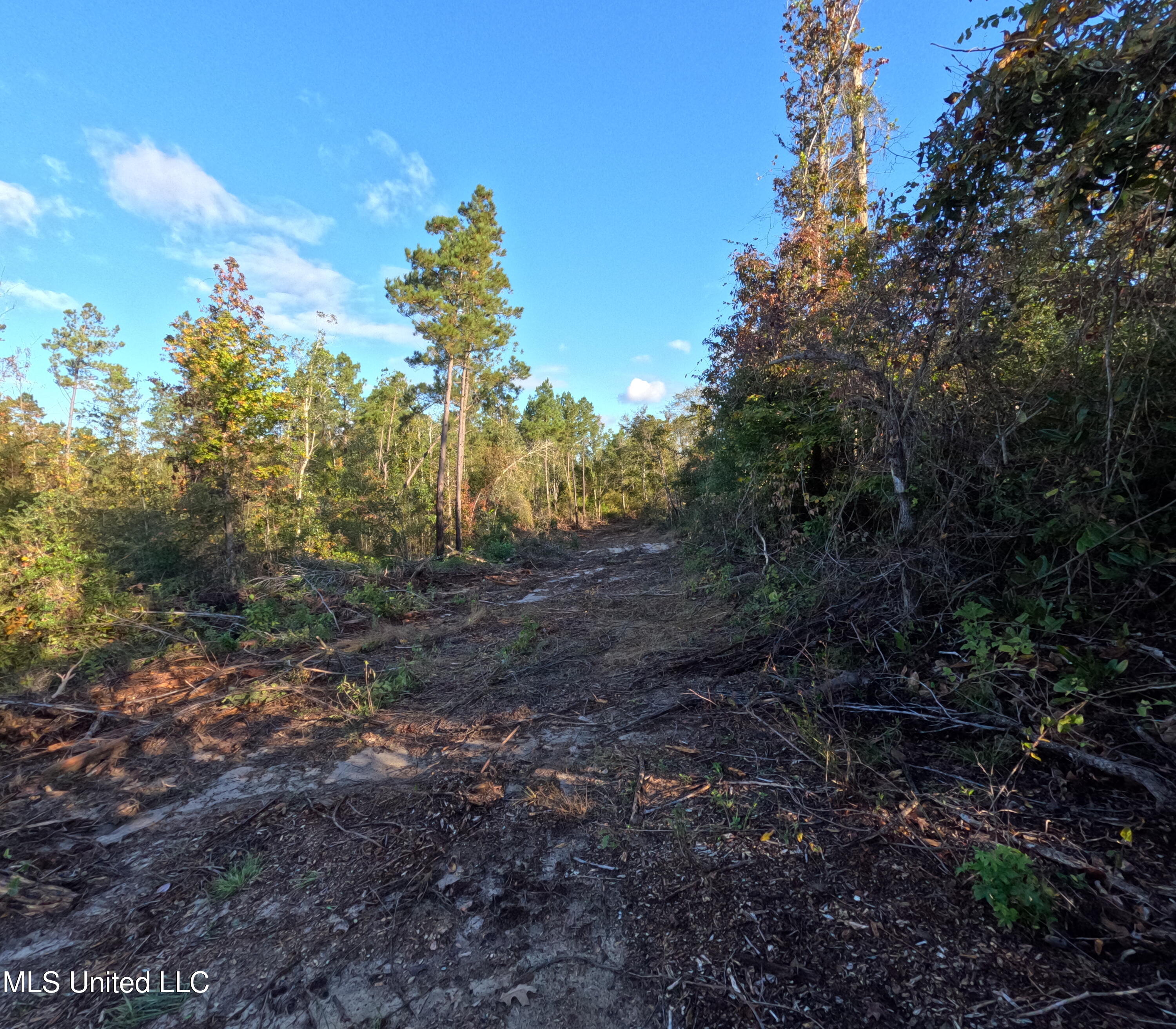 William Warren Road Property Photo 30