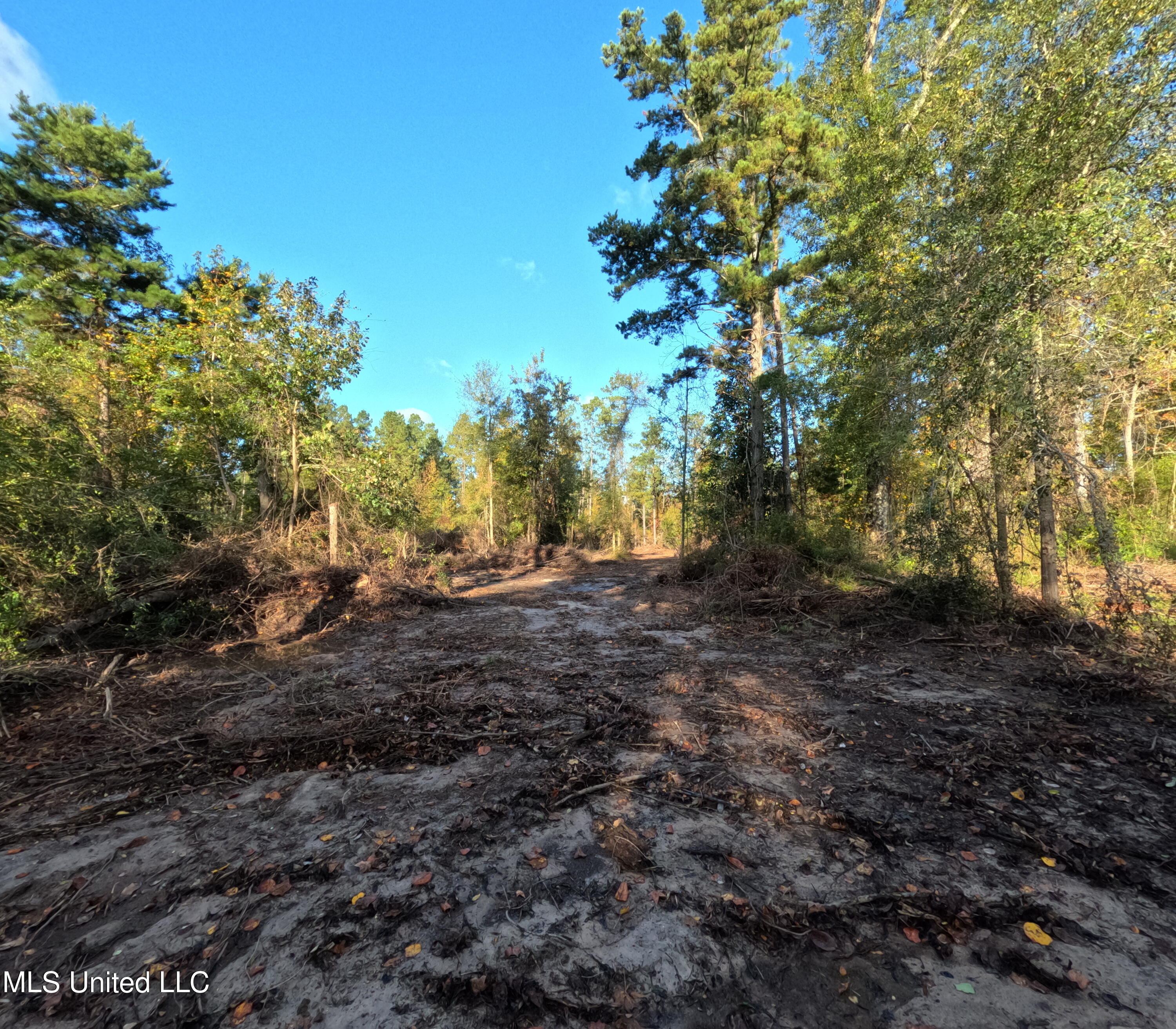 William Warren Road Property Photo 31