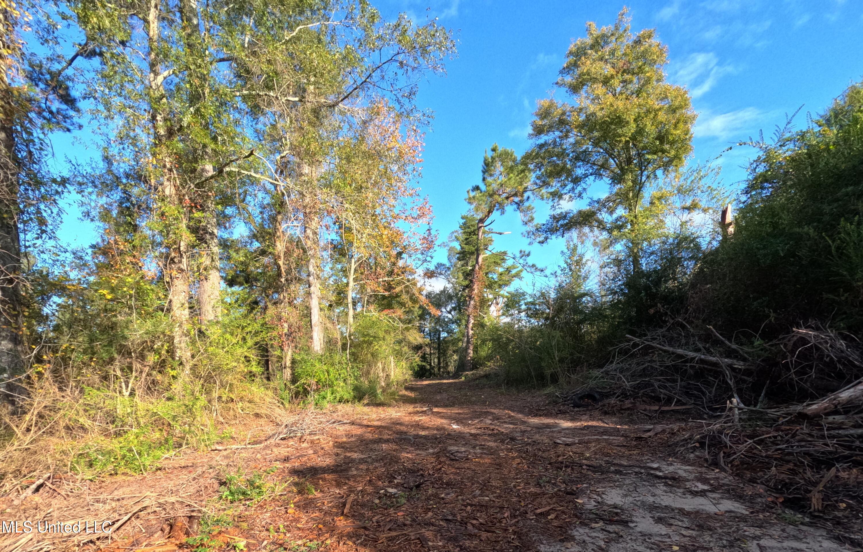 William Warren Road Property Photo 32