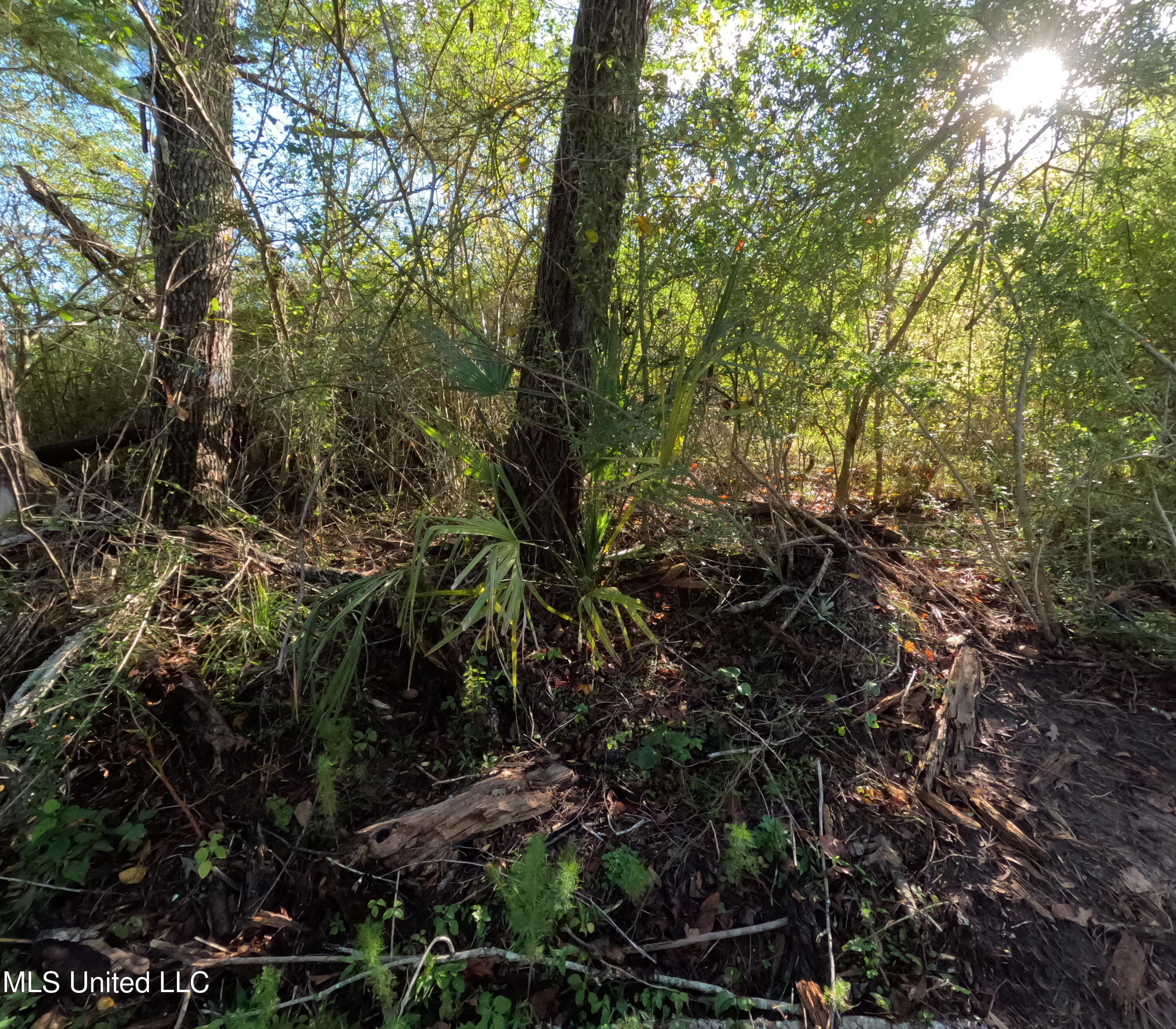 William Warren Road Property Photo 33