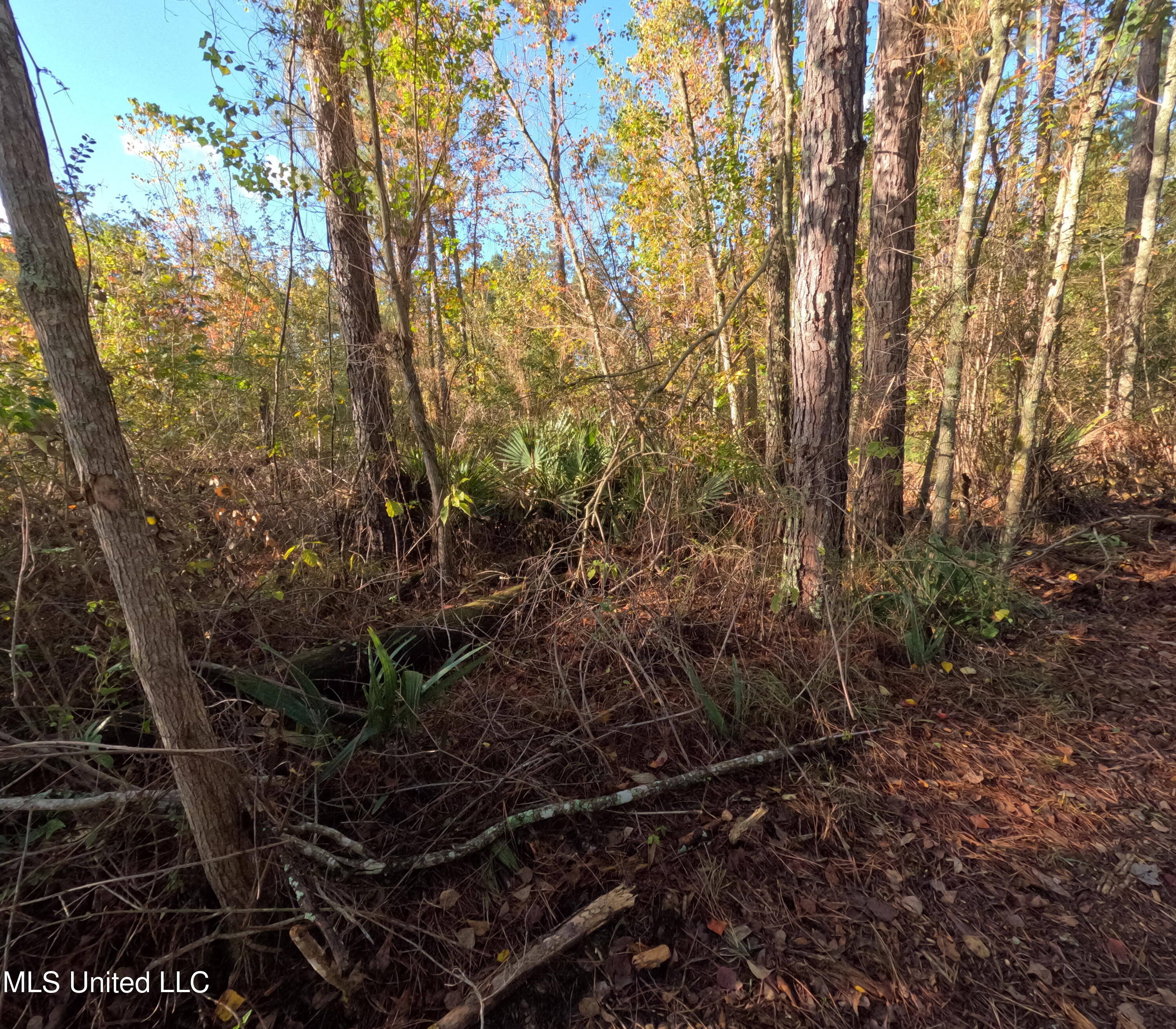 William Warren Road Property Photo 35