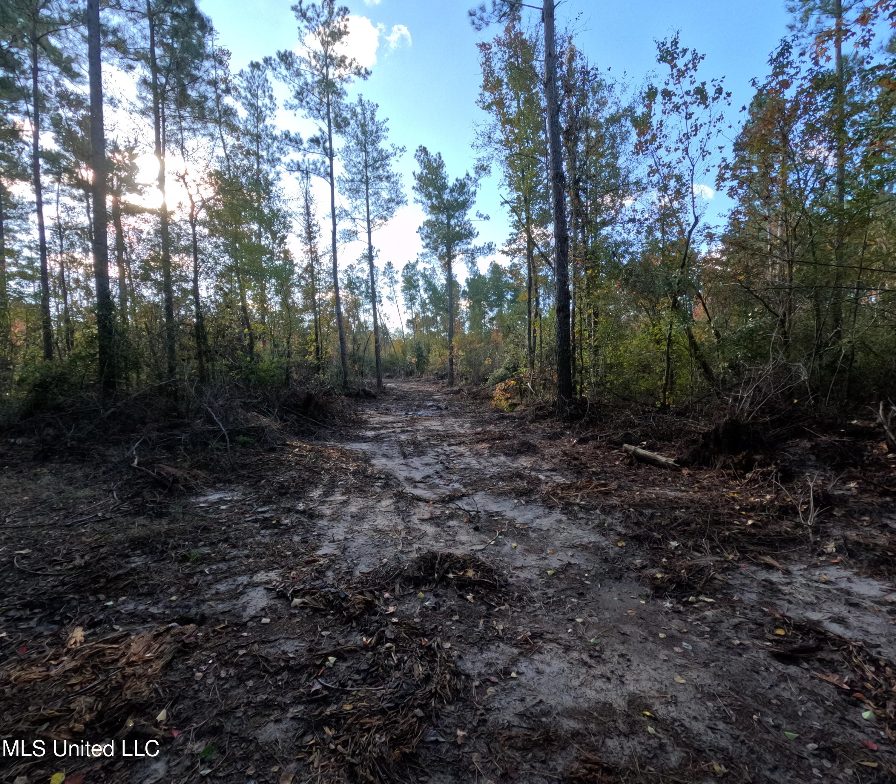 William Warren Road Property Photo 36