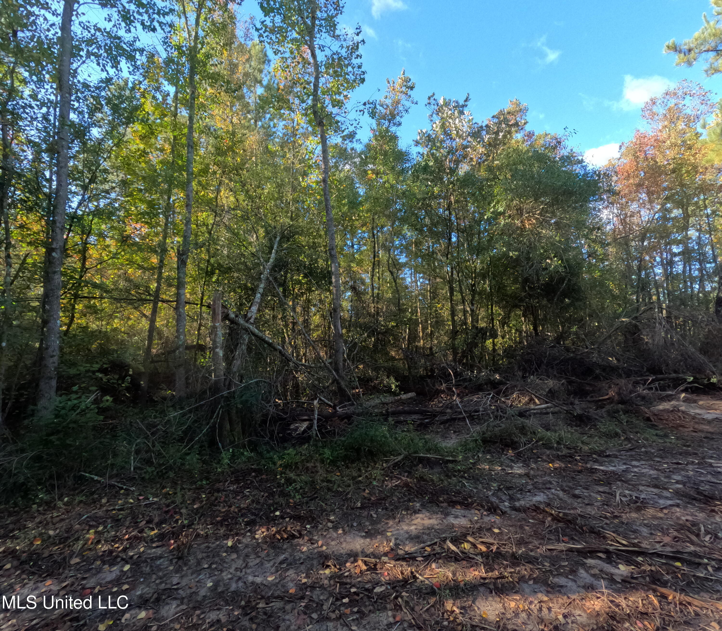 William Warren Road Property Photo 37