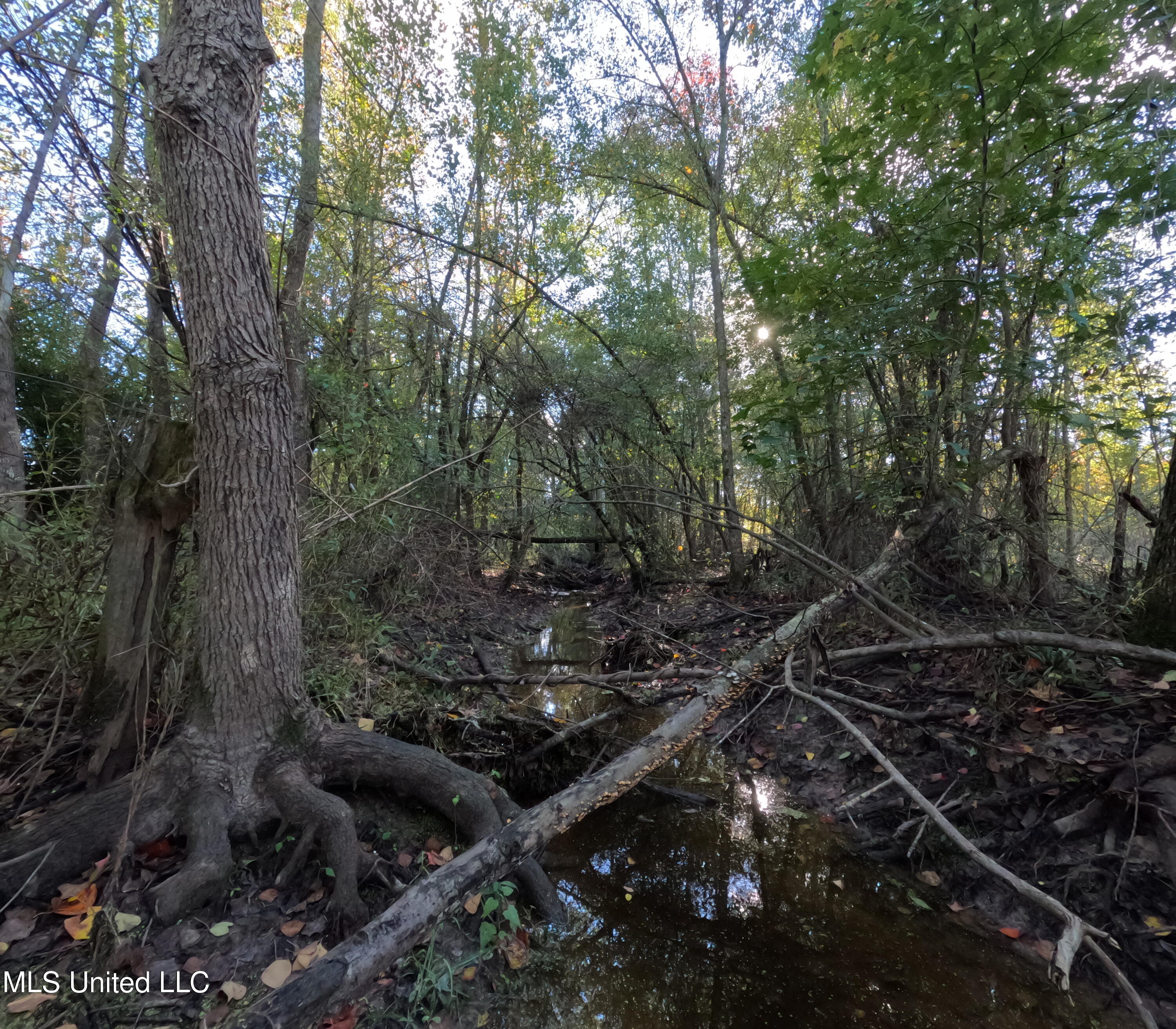 William Warren Road Property Photo 38