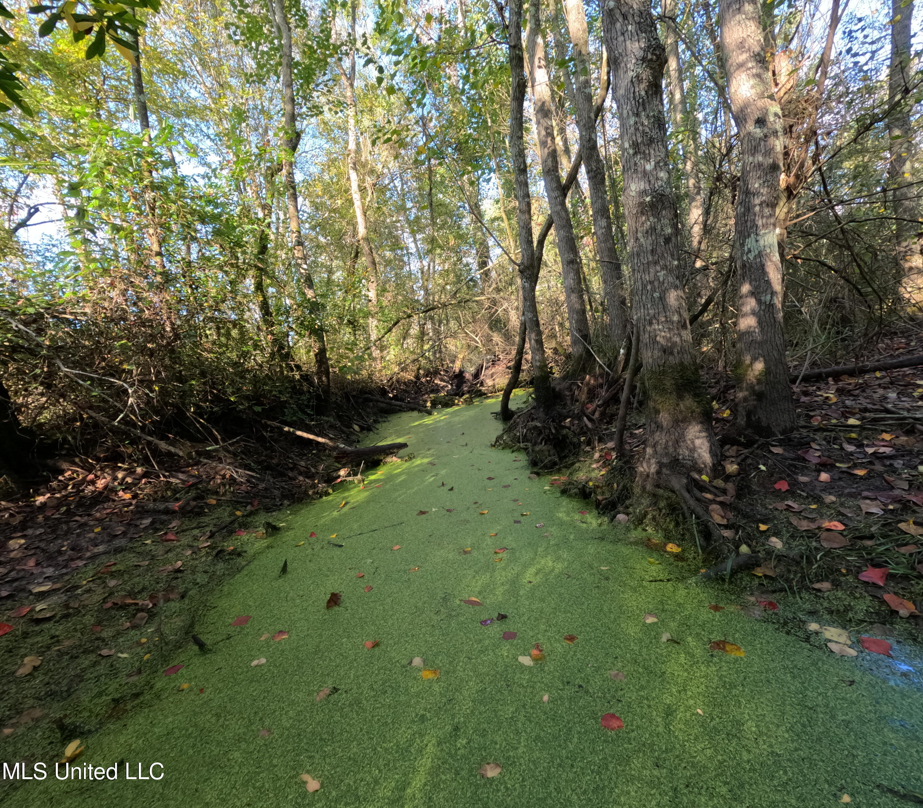 William Warren Road Property Photo 39