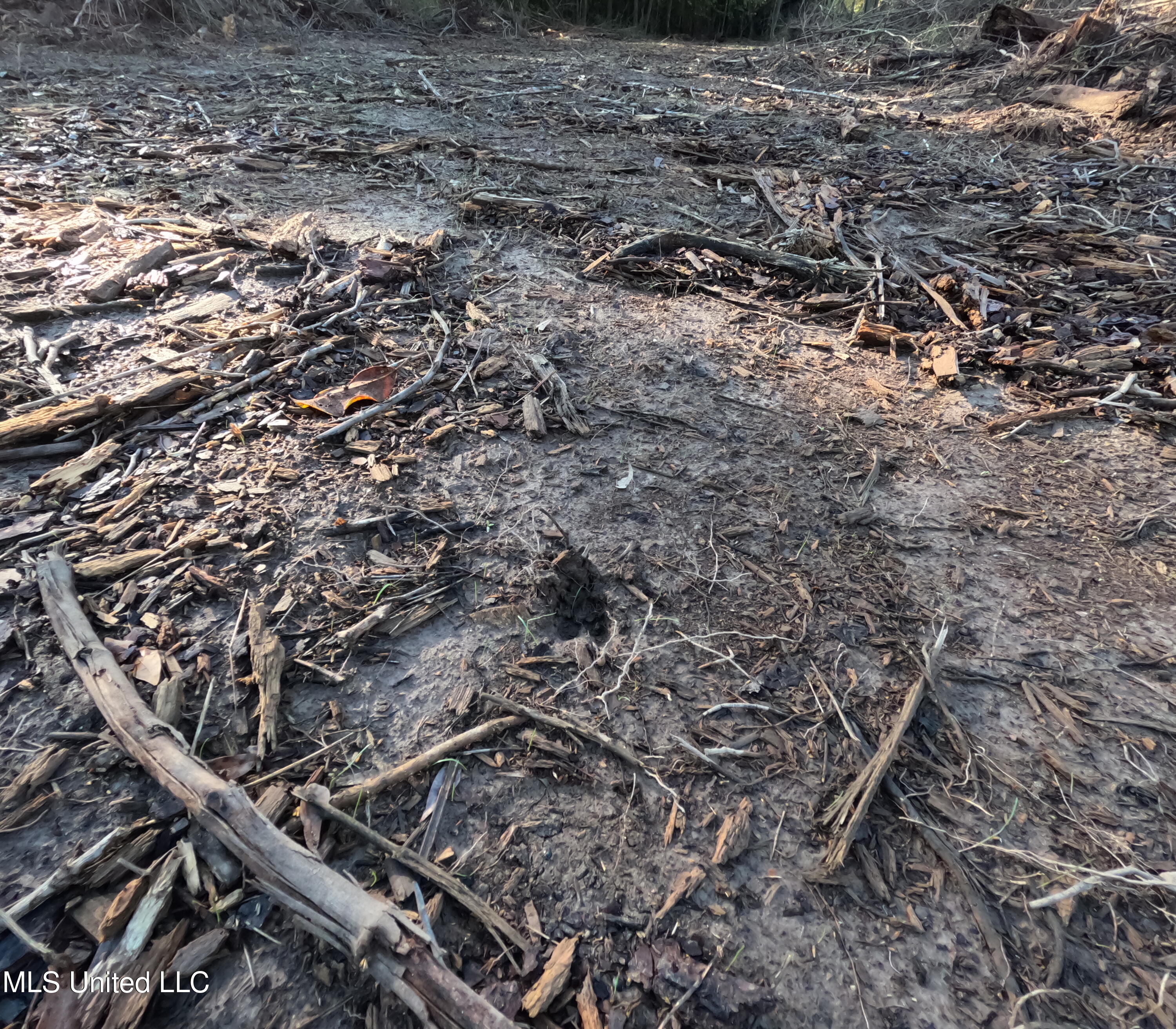 William Warren Road Property Photo 41