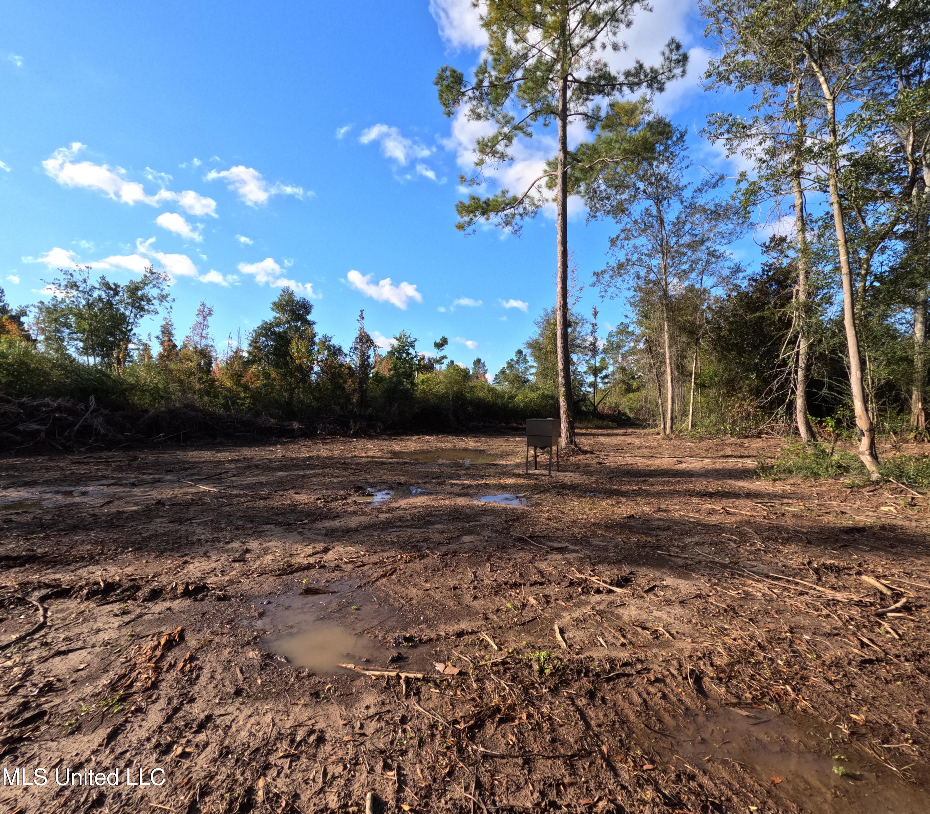 William Warren Road Property Photo 42