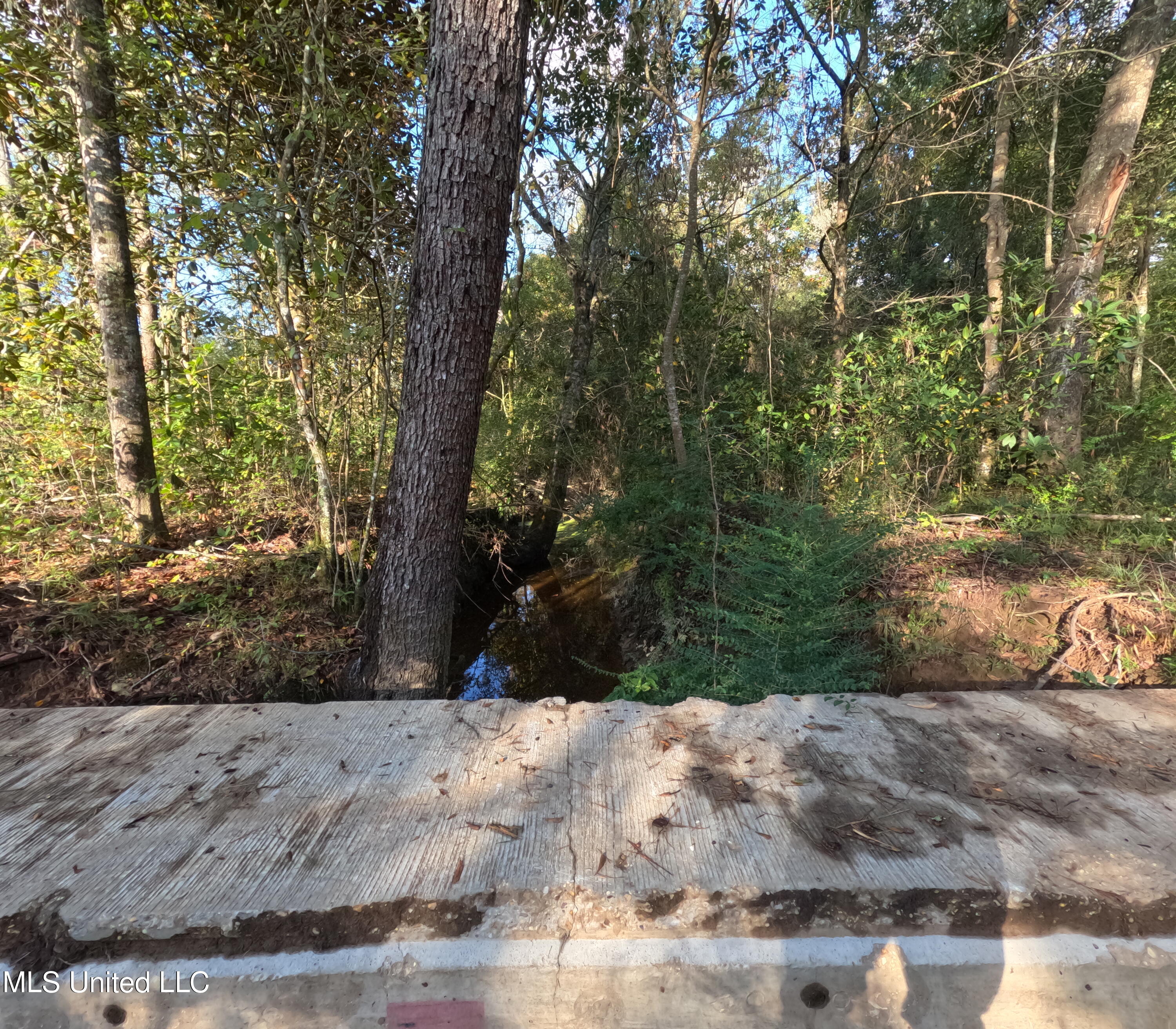 William Warren Road Property Photo 43