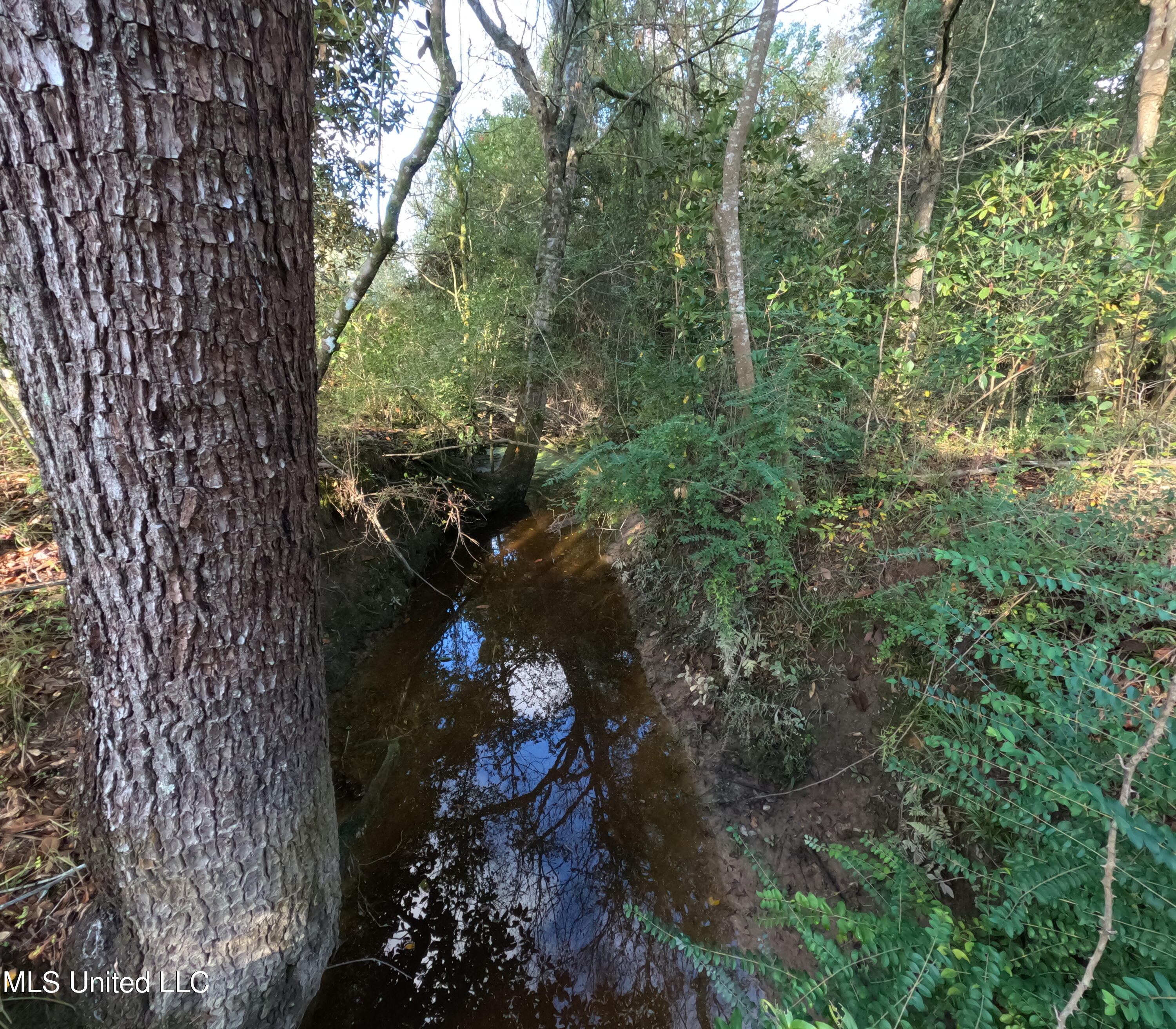 William Warren Road Property Photo 44