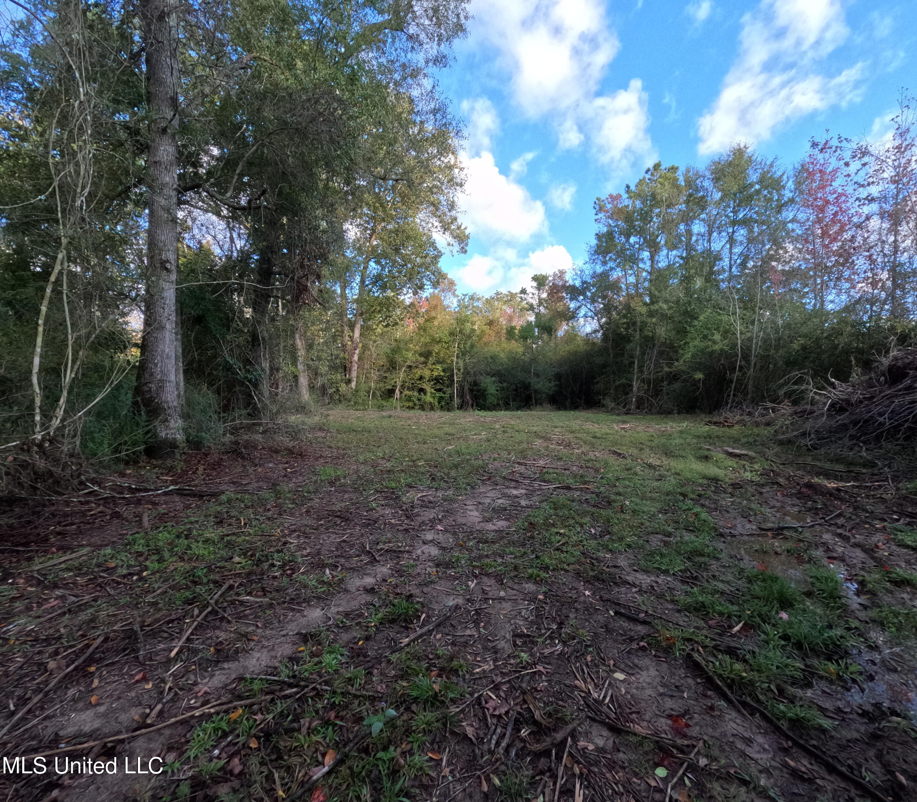 William Warren Road Property Photo 45