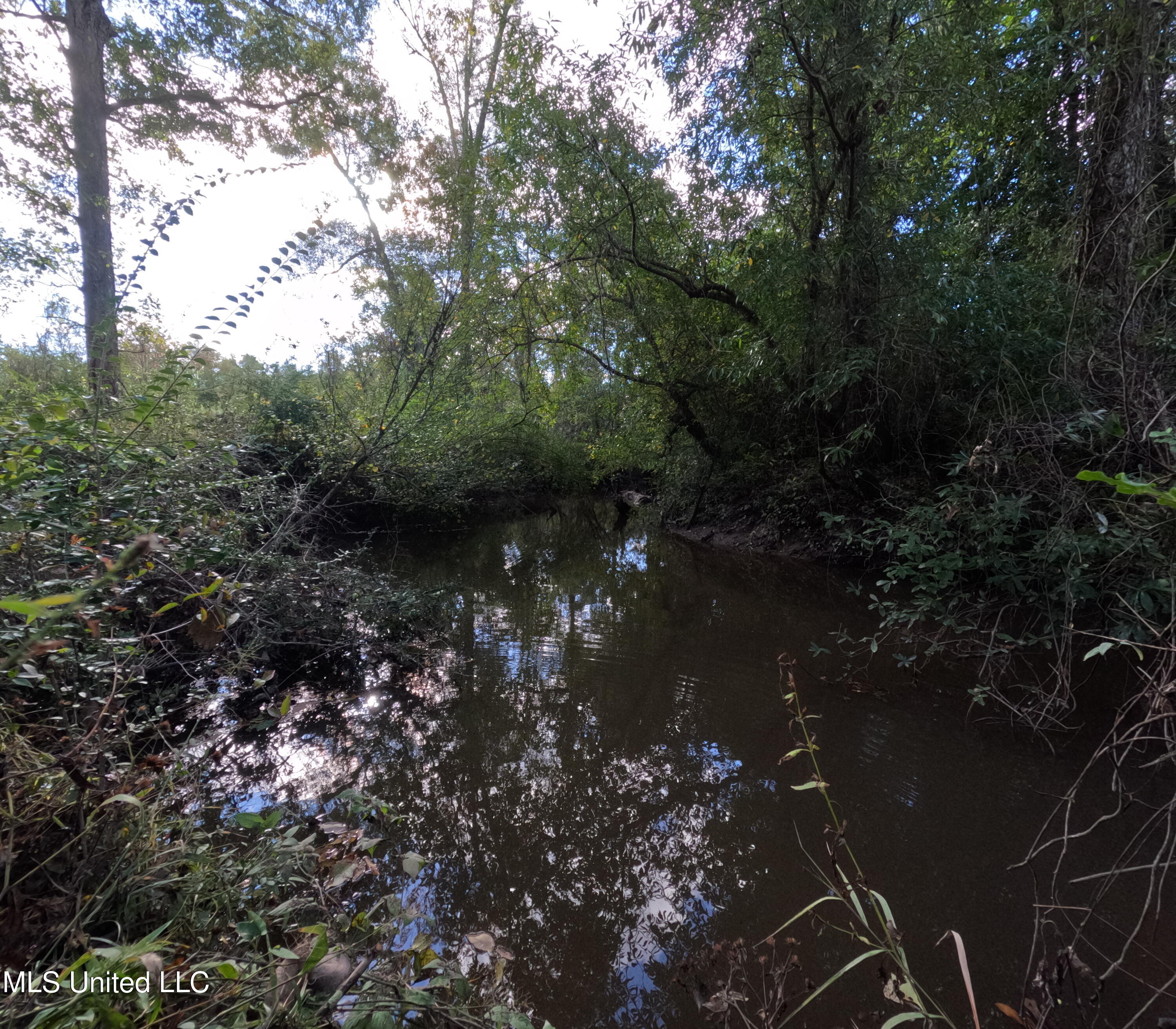 William Warren Road Property Photo 47