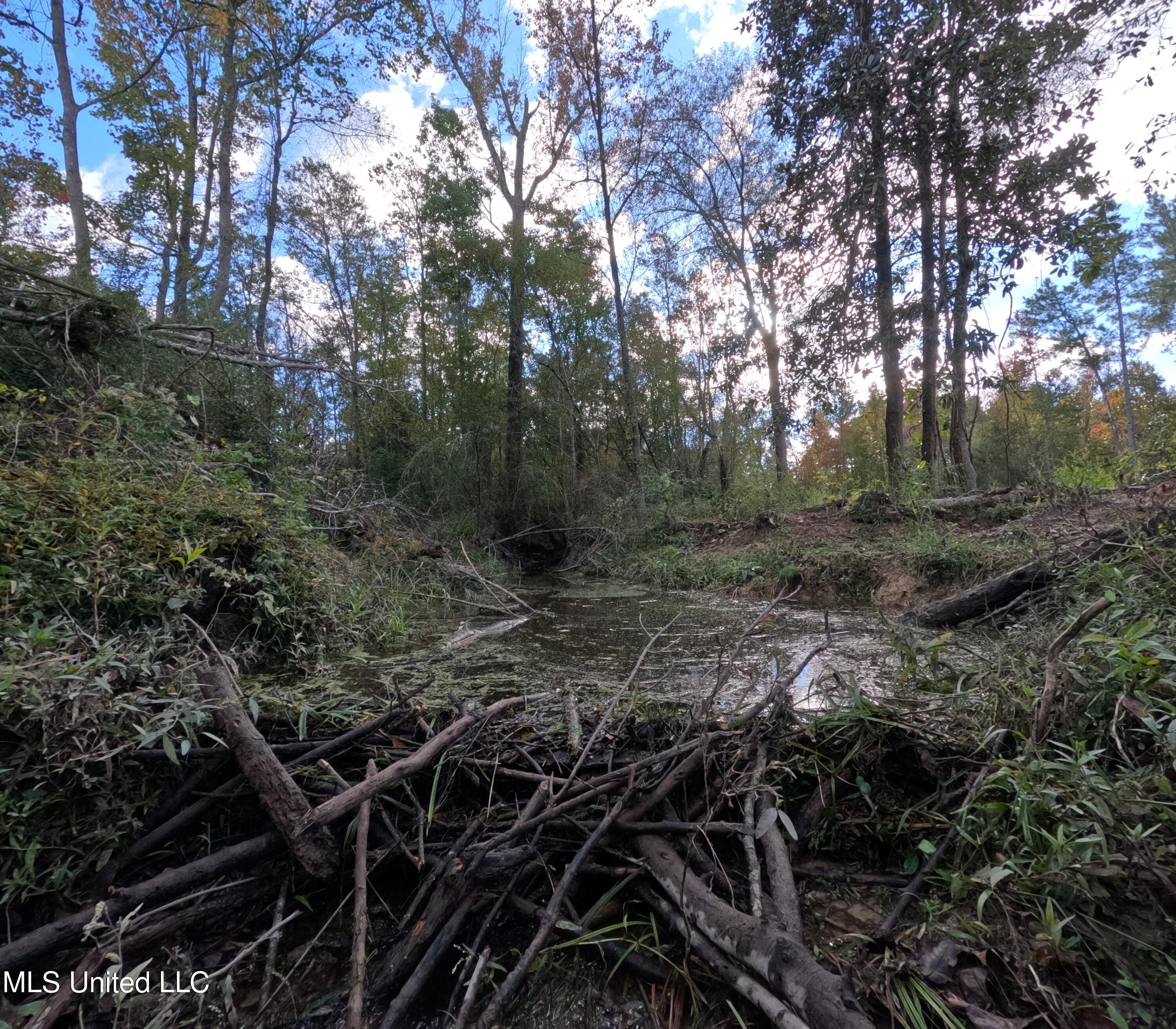 William Warren Road Property Photo 48