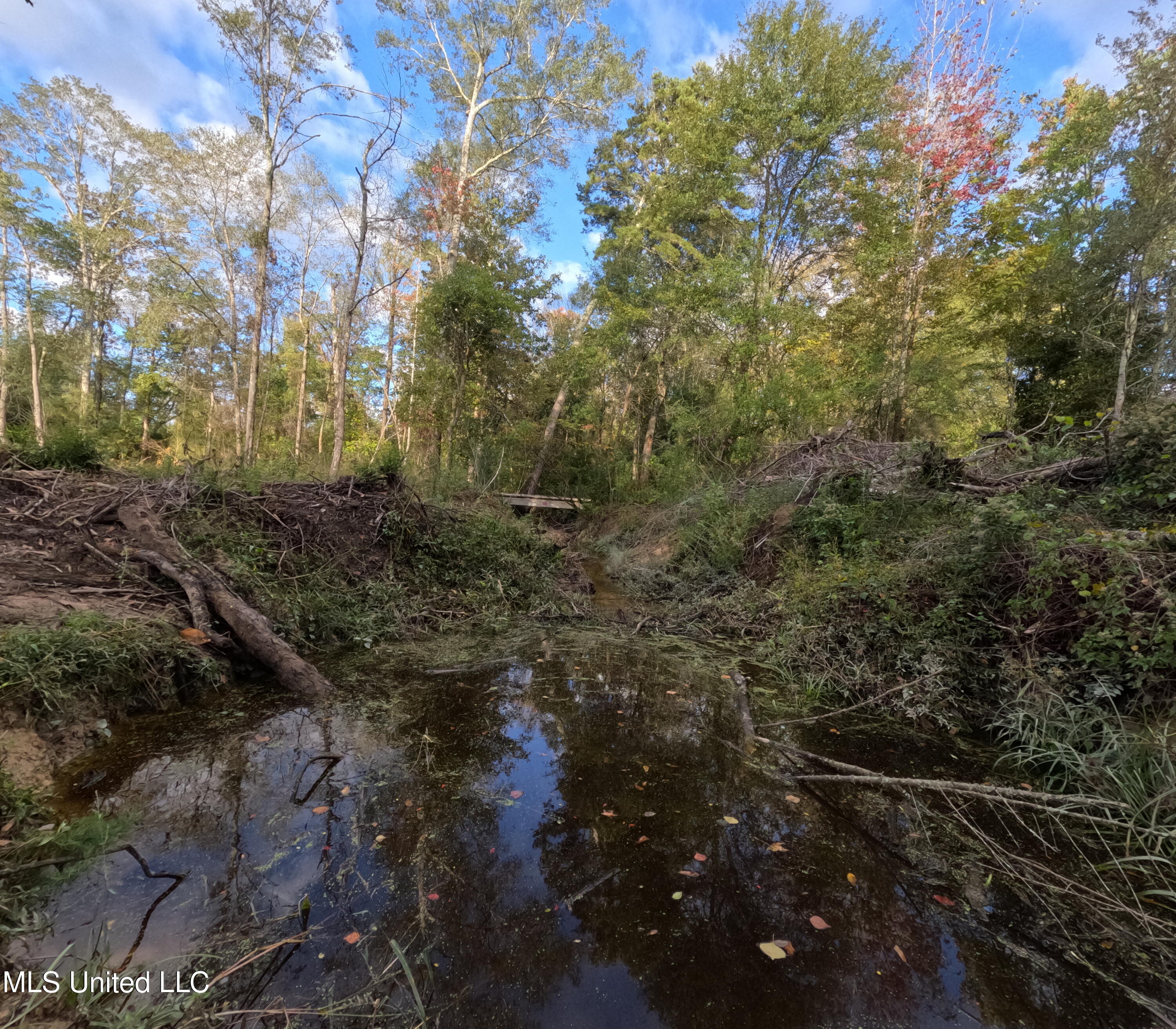 William Warren Road Property Photo 49