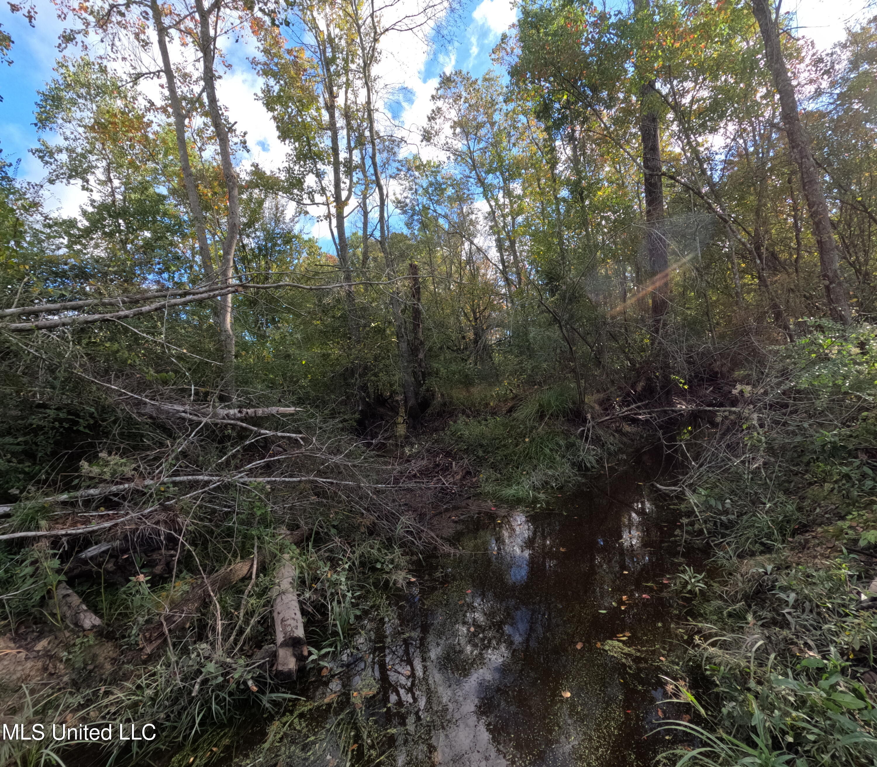 William Warren Road Property Photo 50