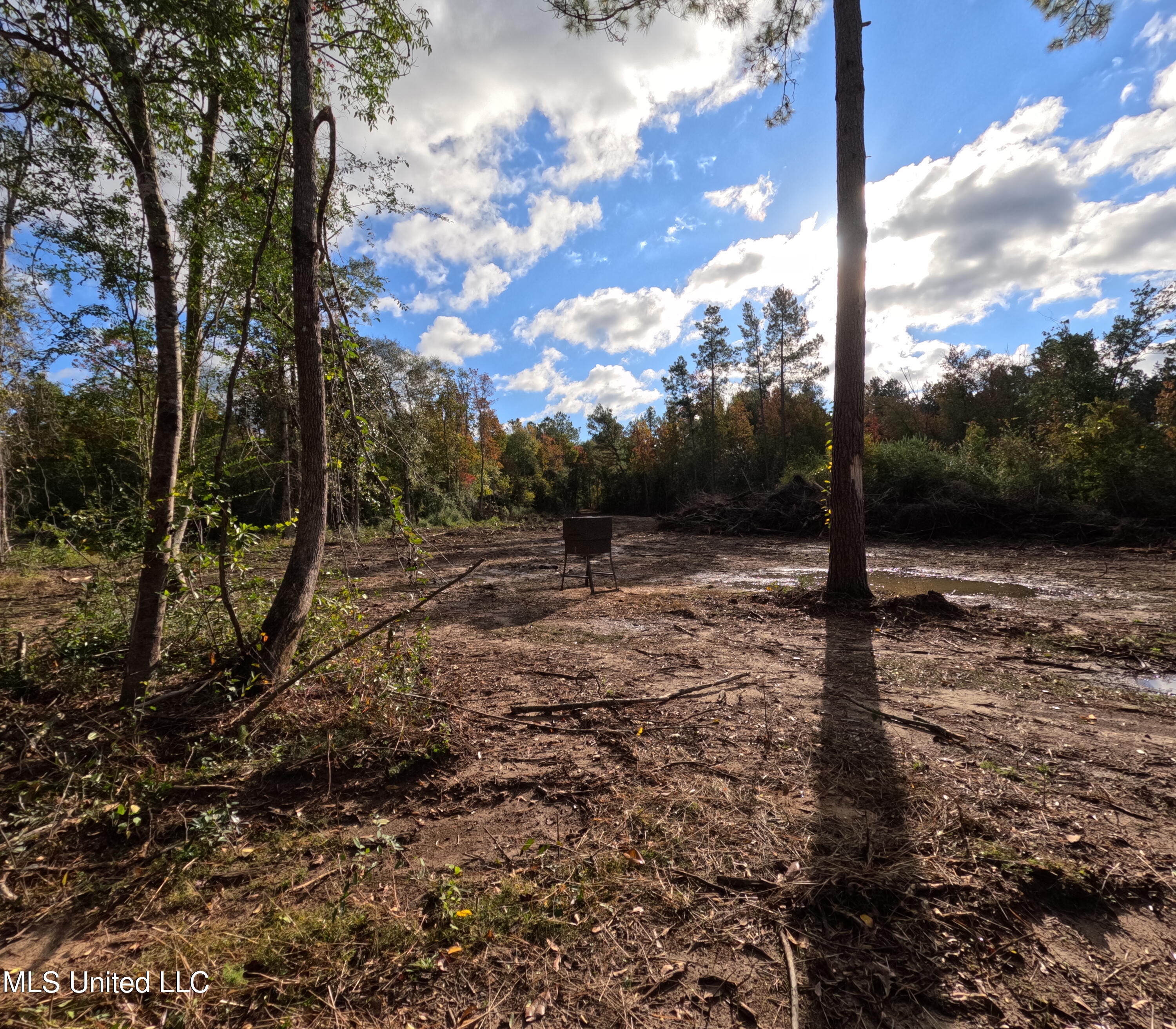 William Warren Road Property Photo 51