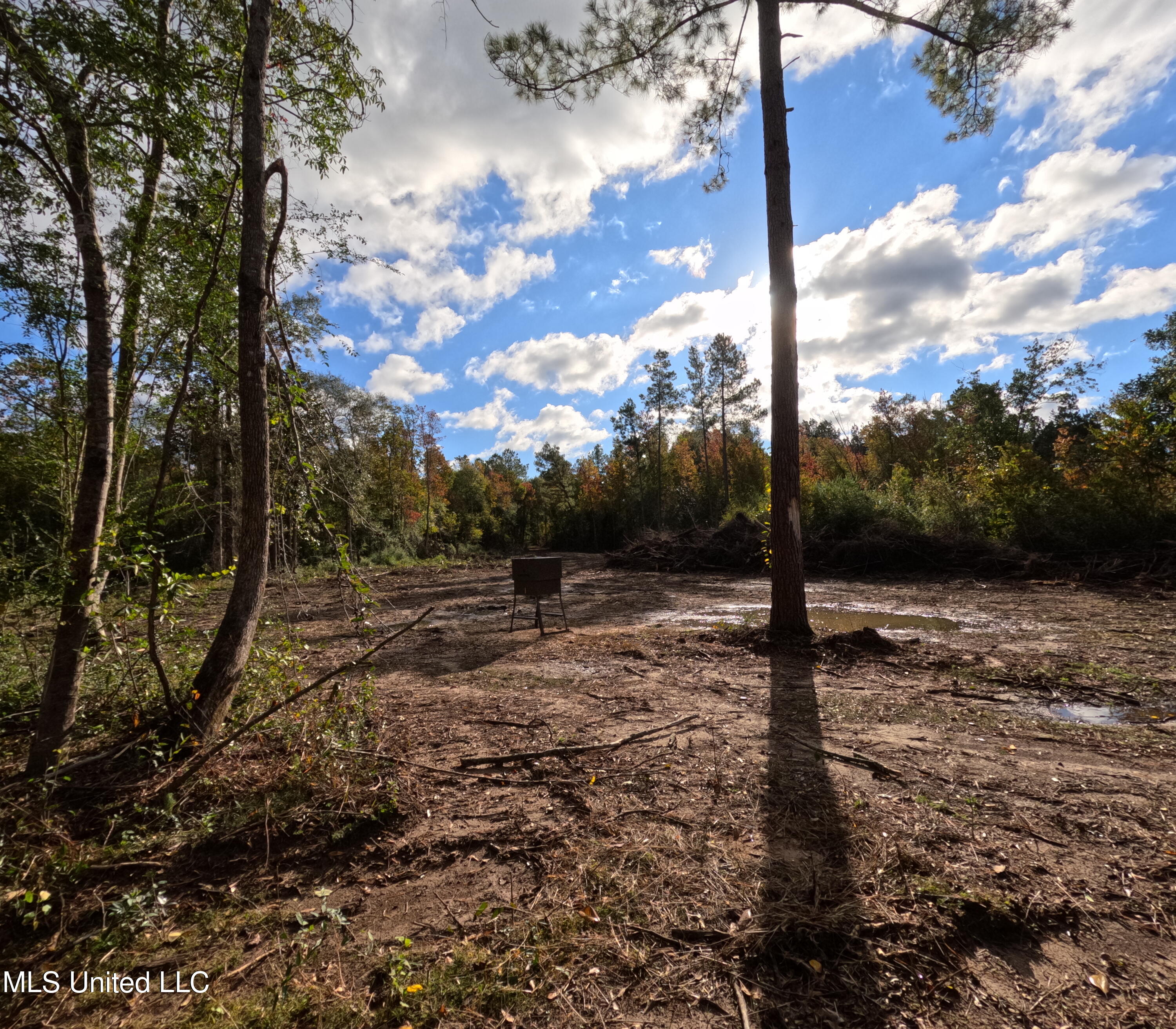 William Warren Road Property Photo 52