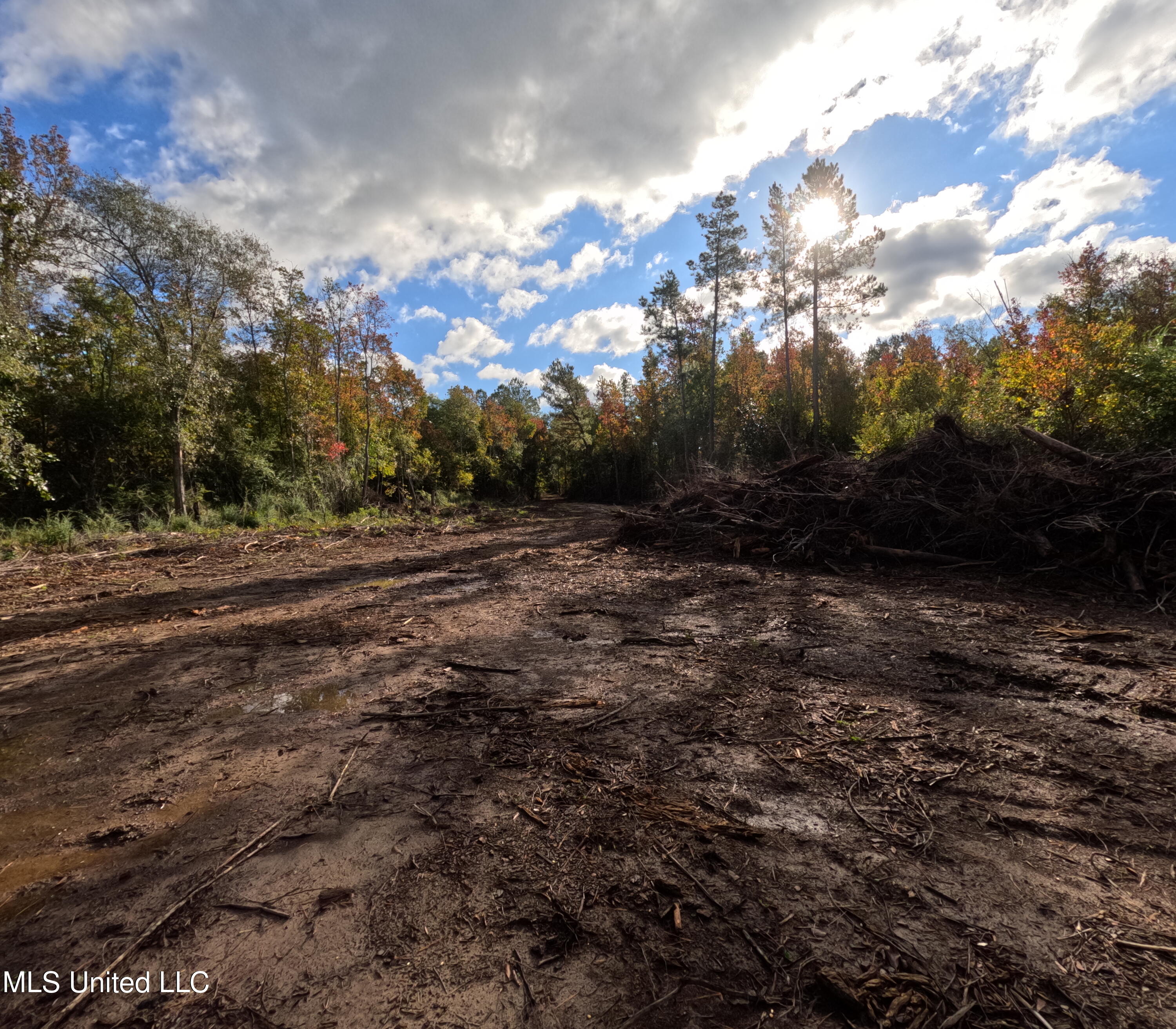 William Warren Road Property Photo 53