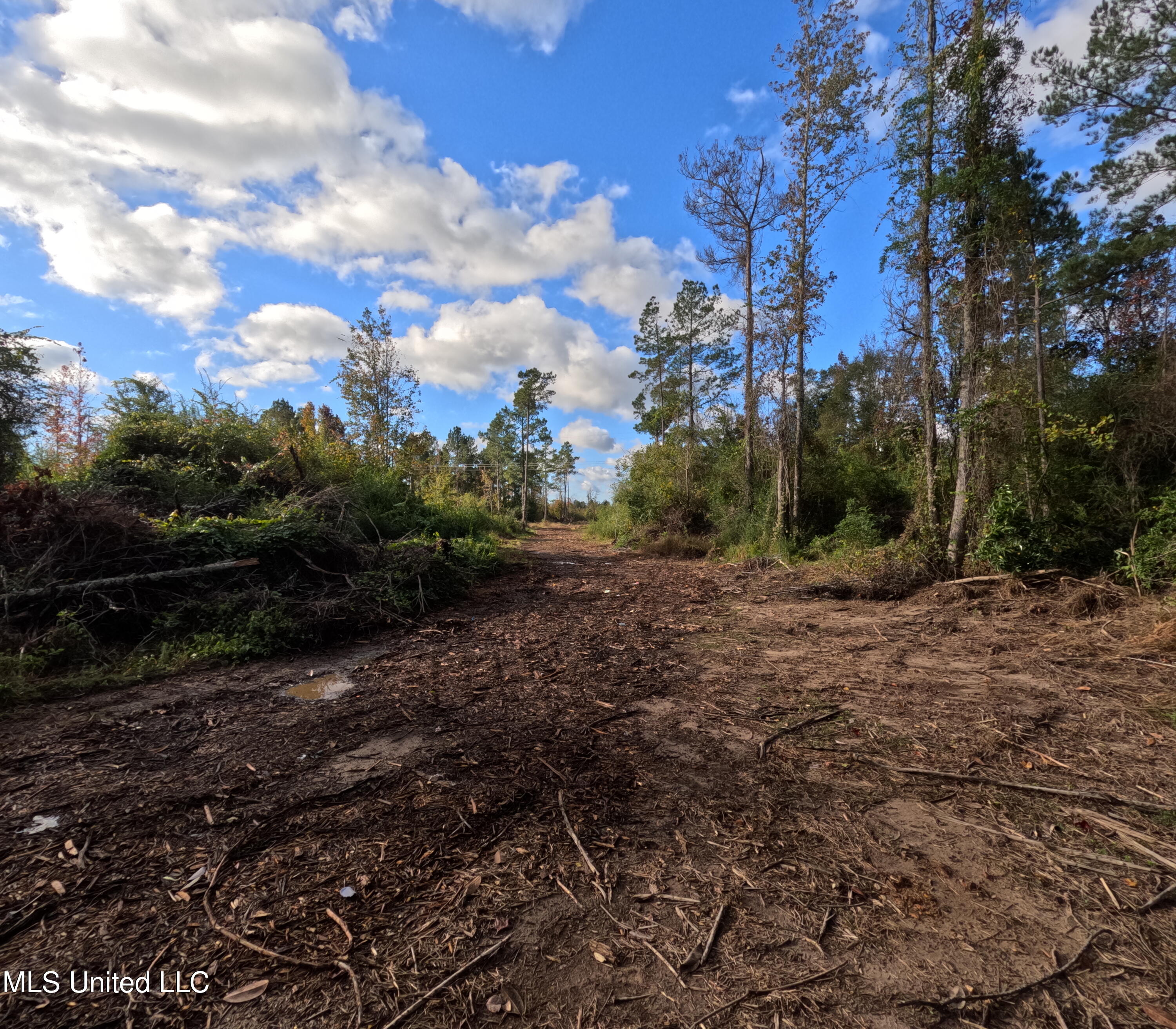 William Warren Road Property Photo 54