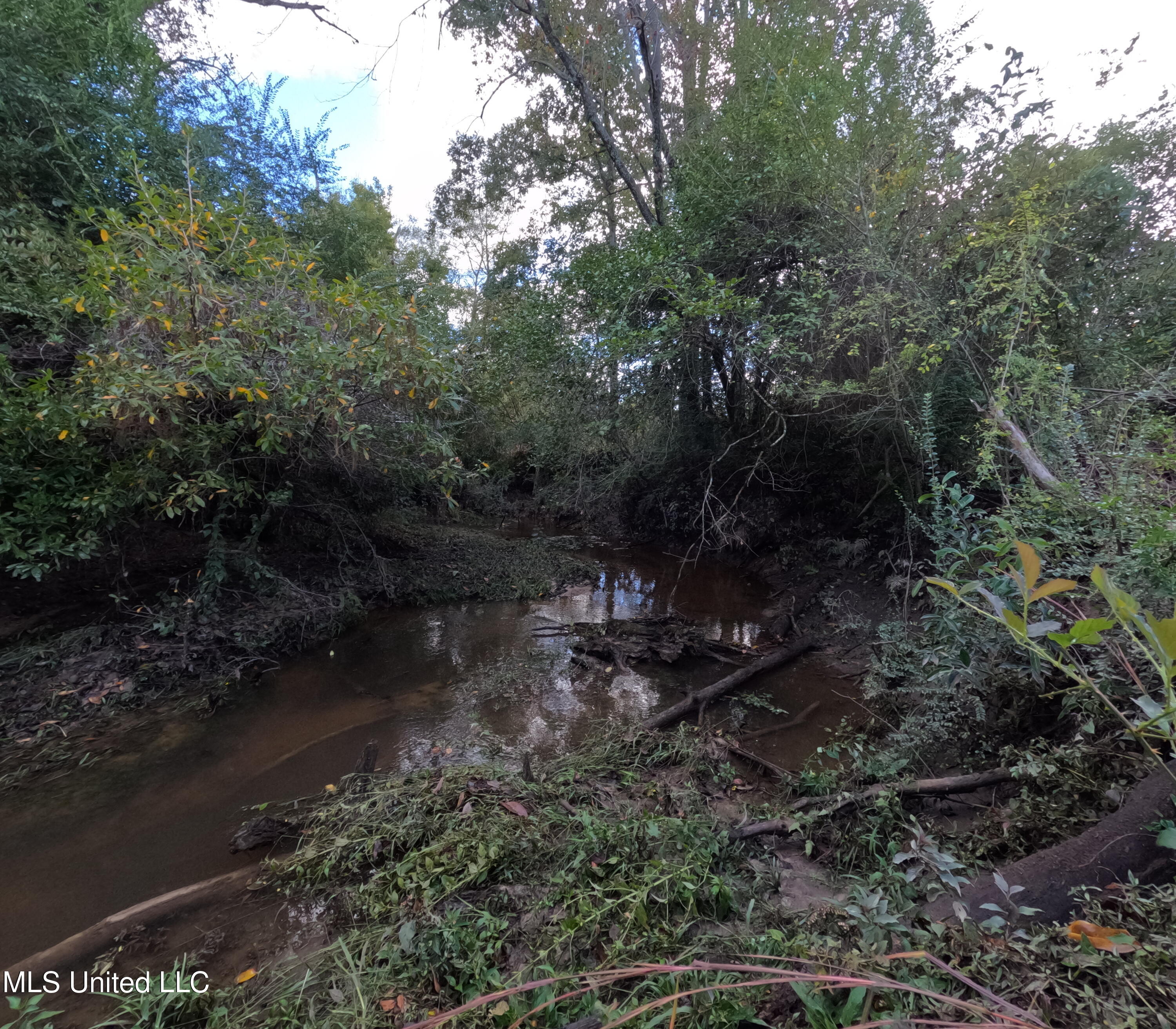 William Warren Road Property Photo 55