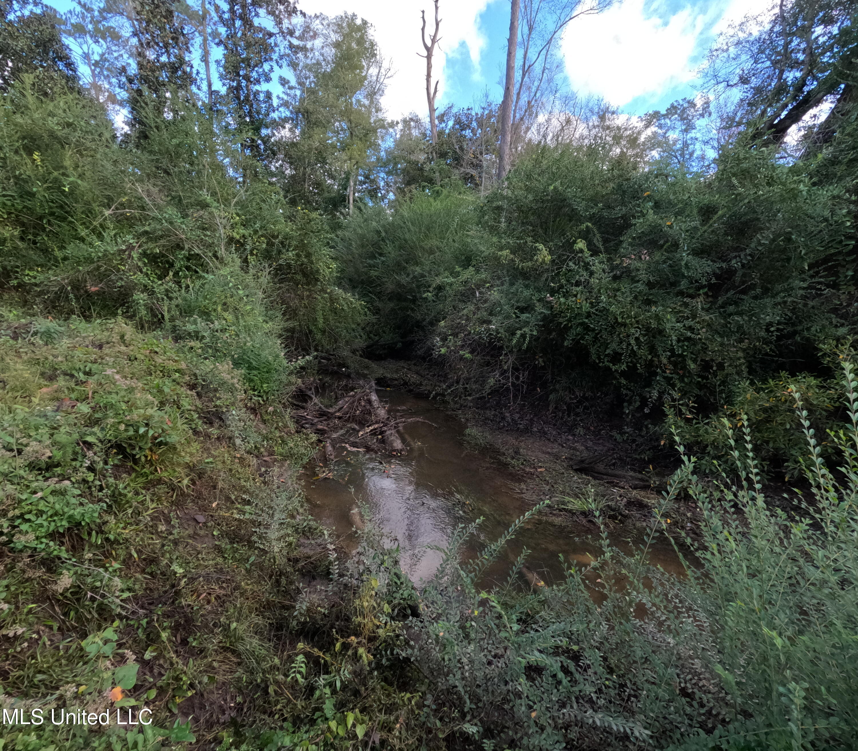 William Warren Road Property Photo 56