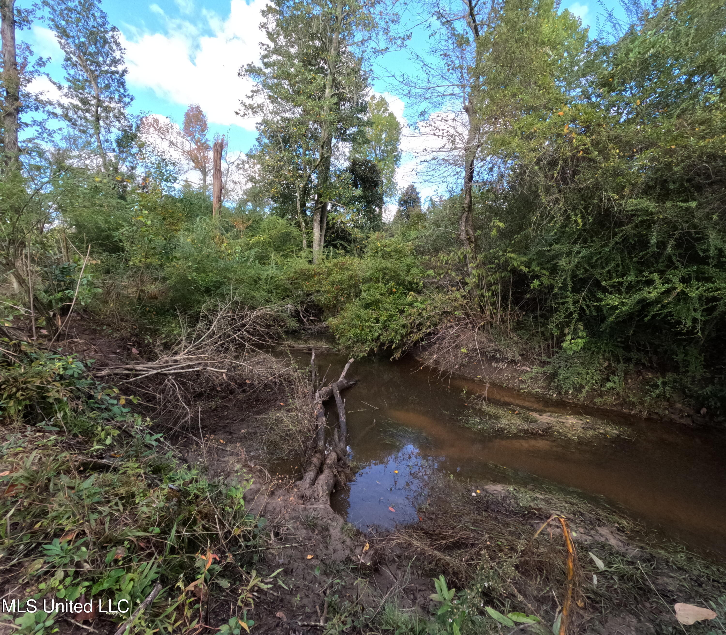 William Warren Road Property Photo 57
