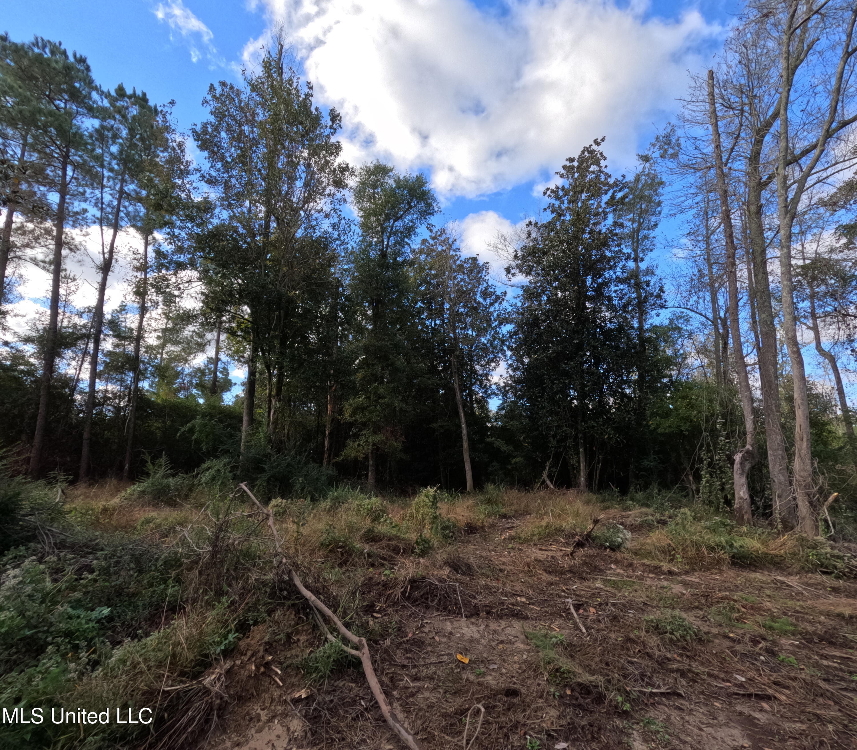 William Warren Road Property Photo 58