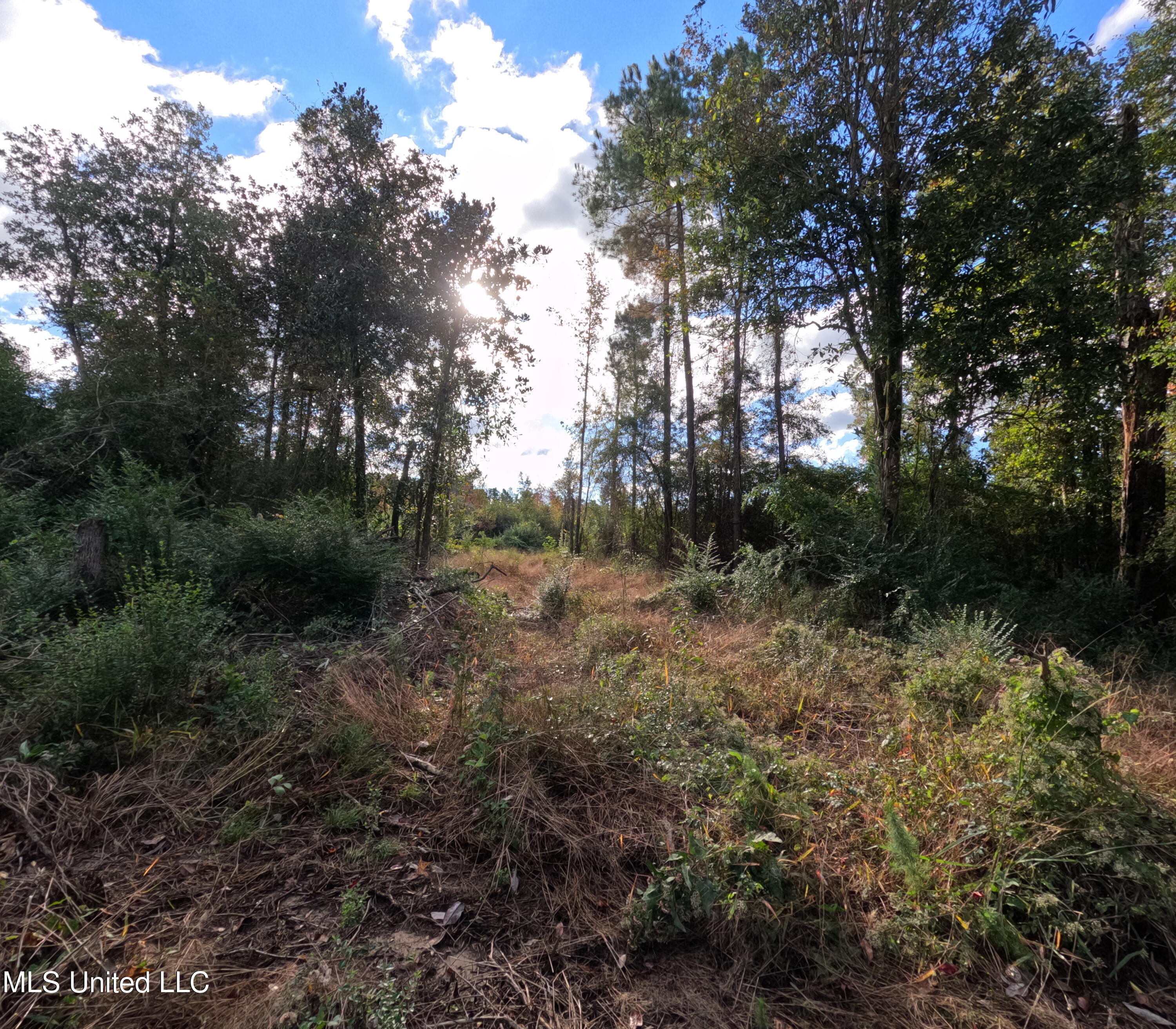 William Warren Road Property Photo 59