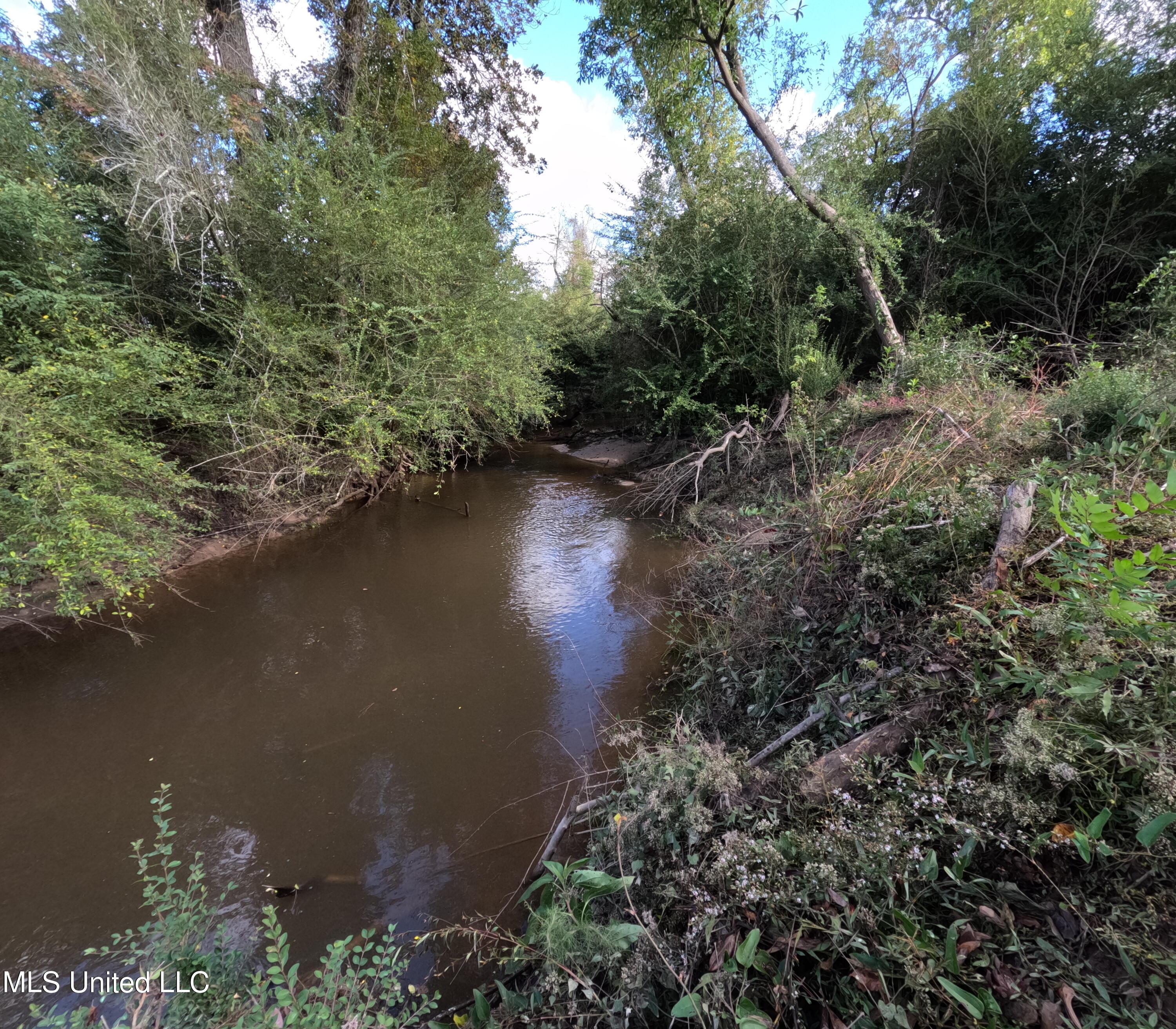 William Warren Road Property Photo 60