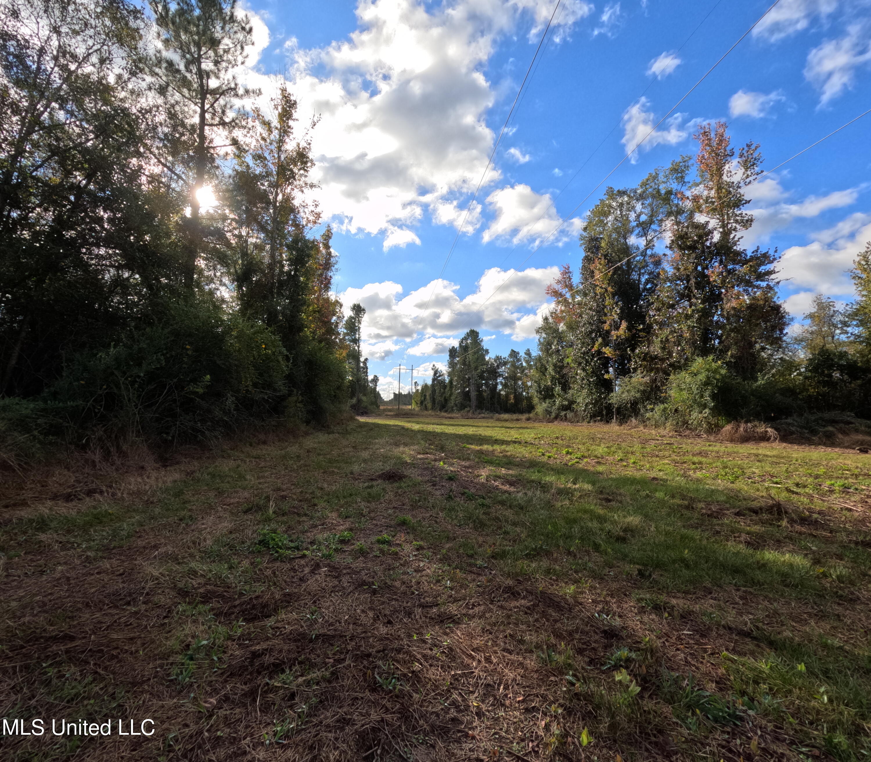 William Warren Road Property Photo 62