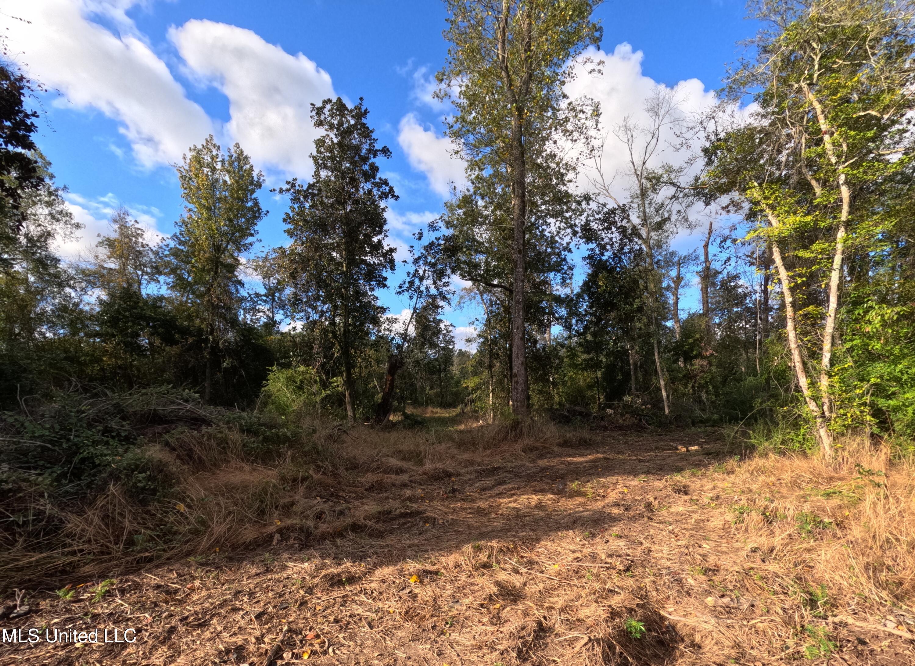 William Warren Road Property Photo 63