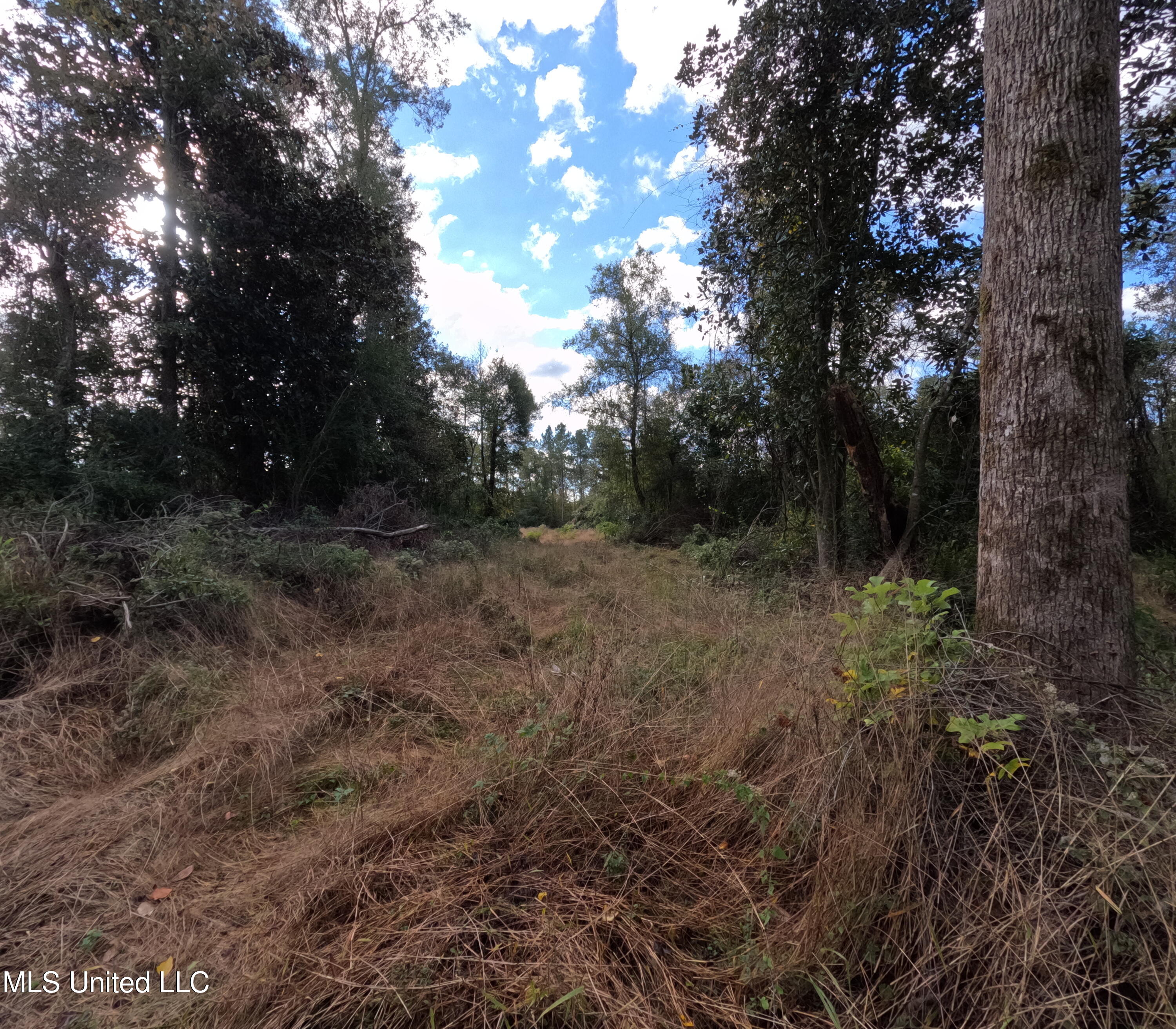 William Warren Road Property Photo 64