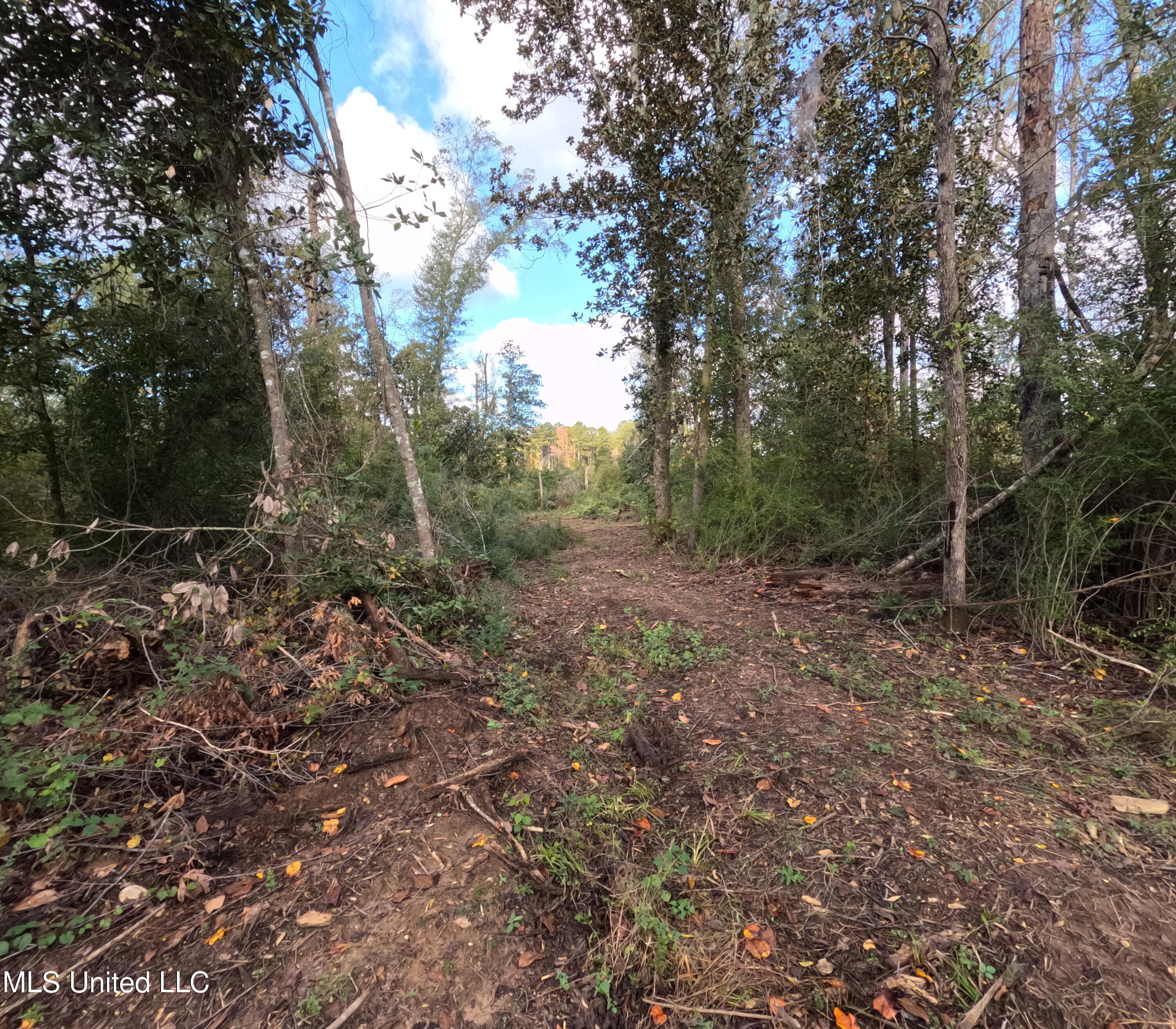 William Warren Road Property Photo 65