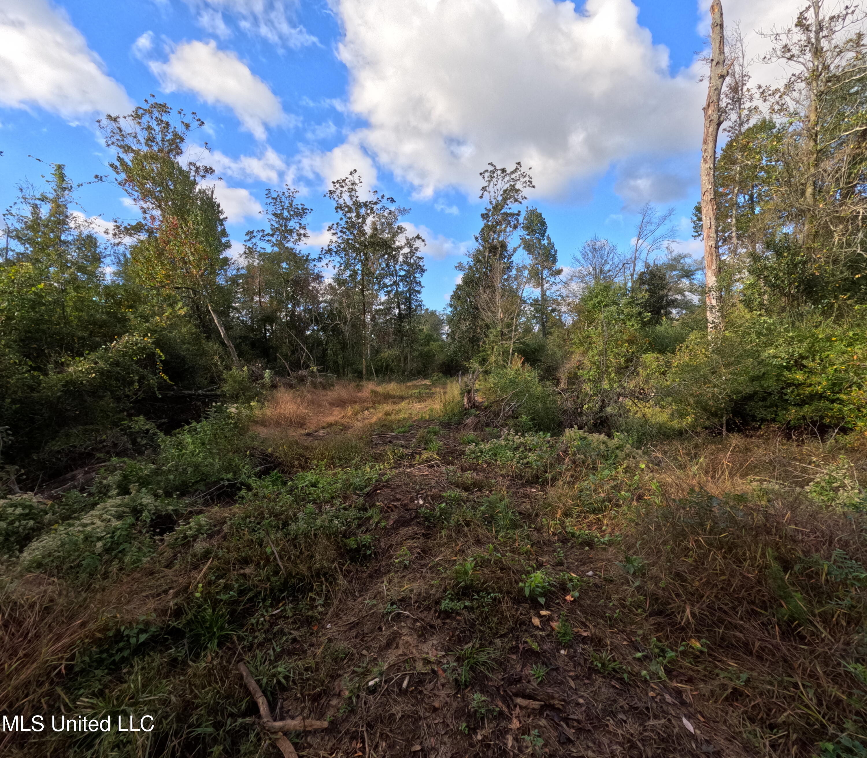 William Warren Road Property Photo 66