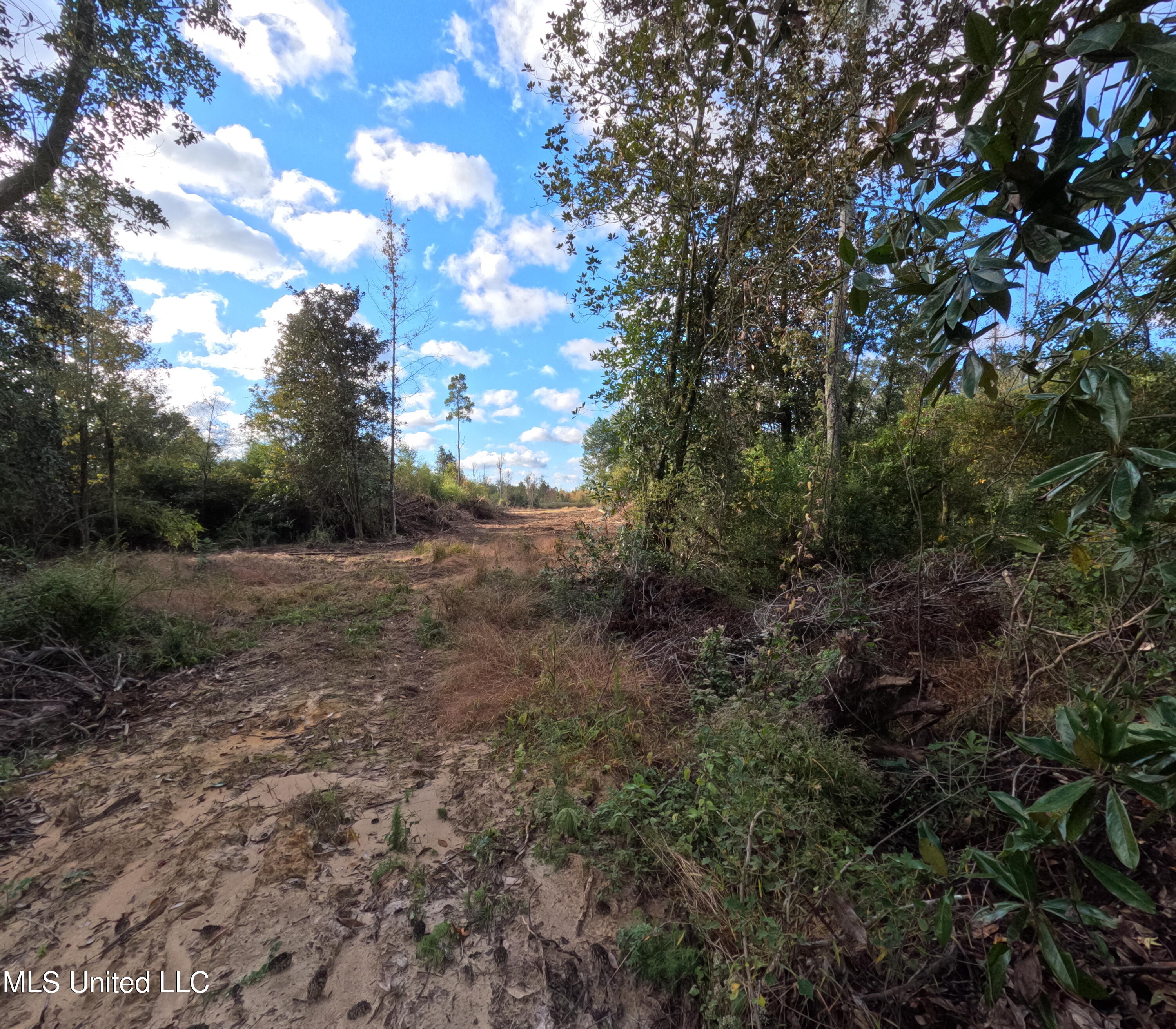 William Warren Road Property Photo 67