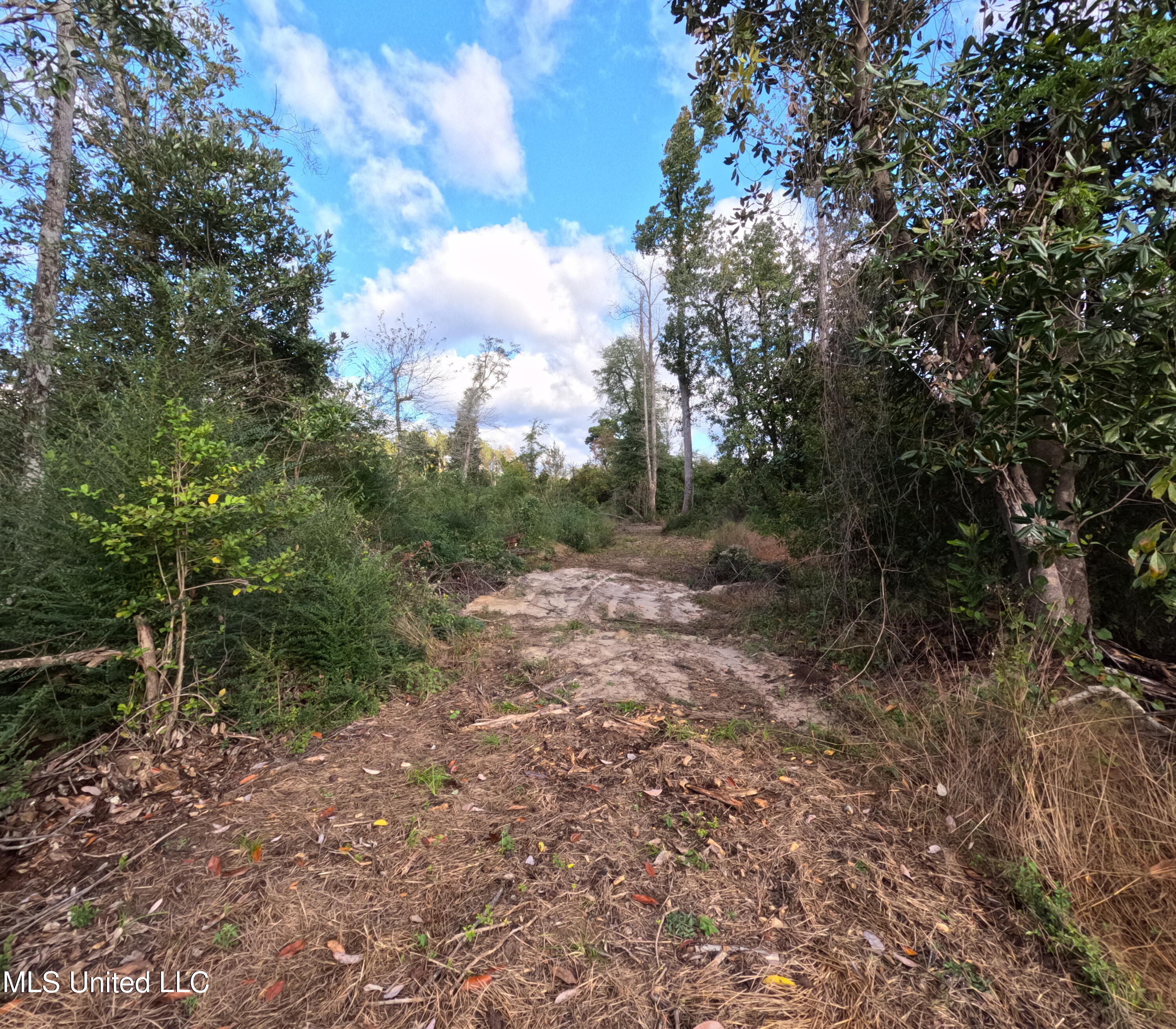 William Warren Road Property Photo 68