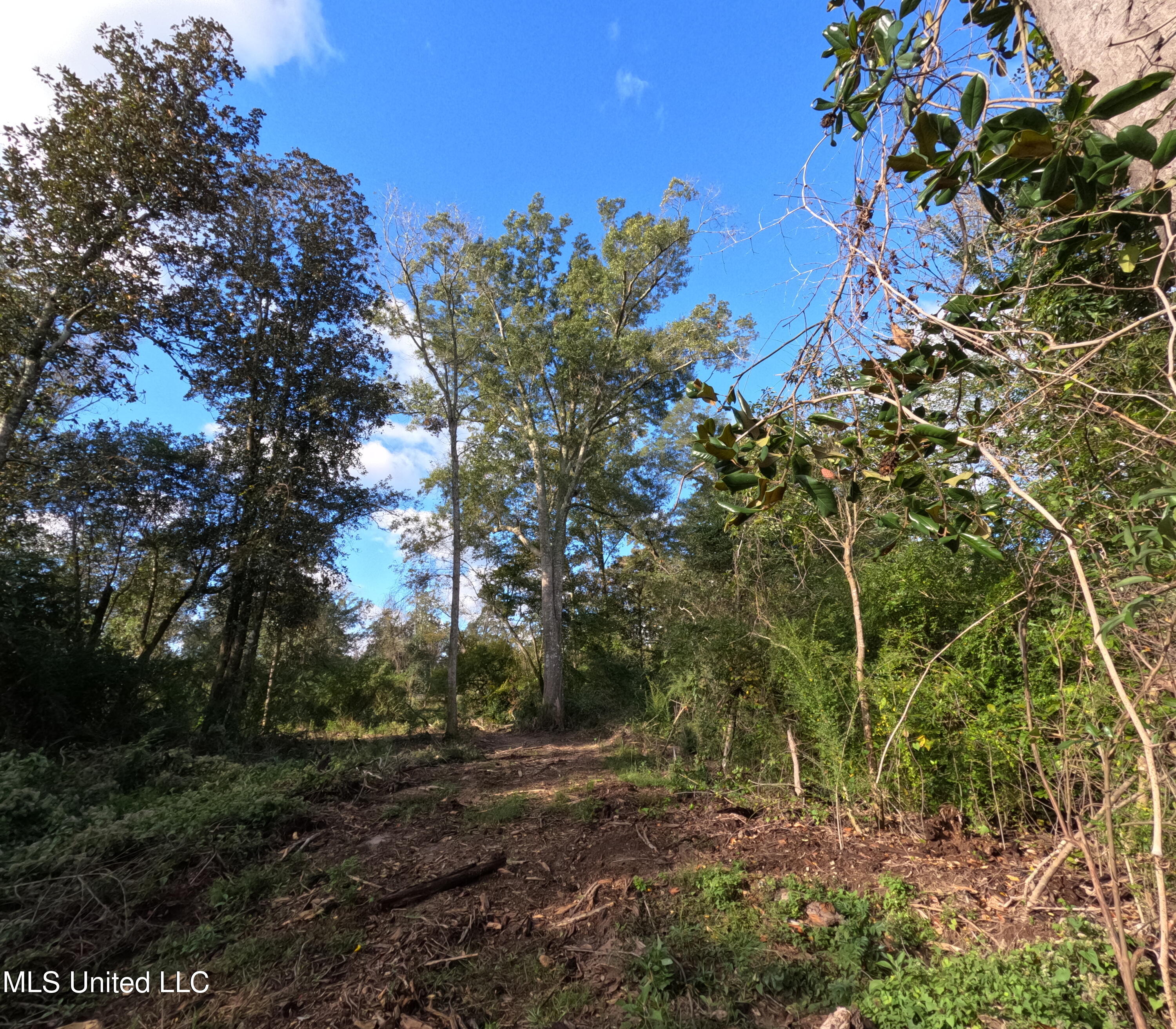 William Warren Road Property Photo 69