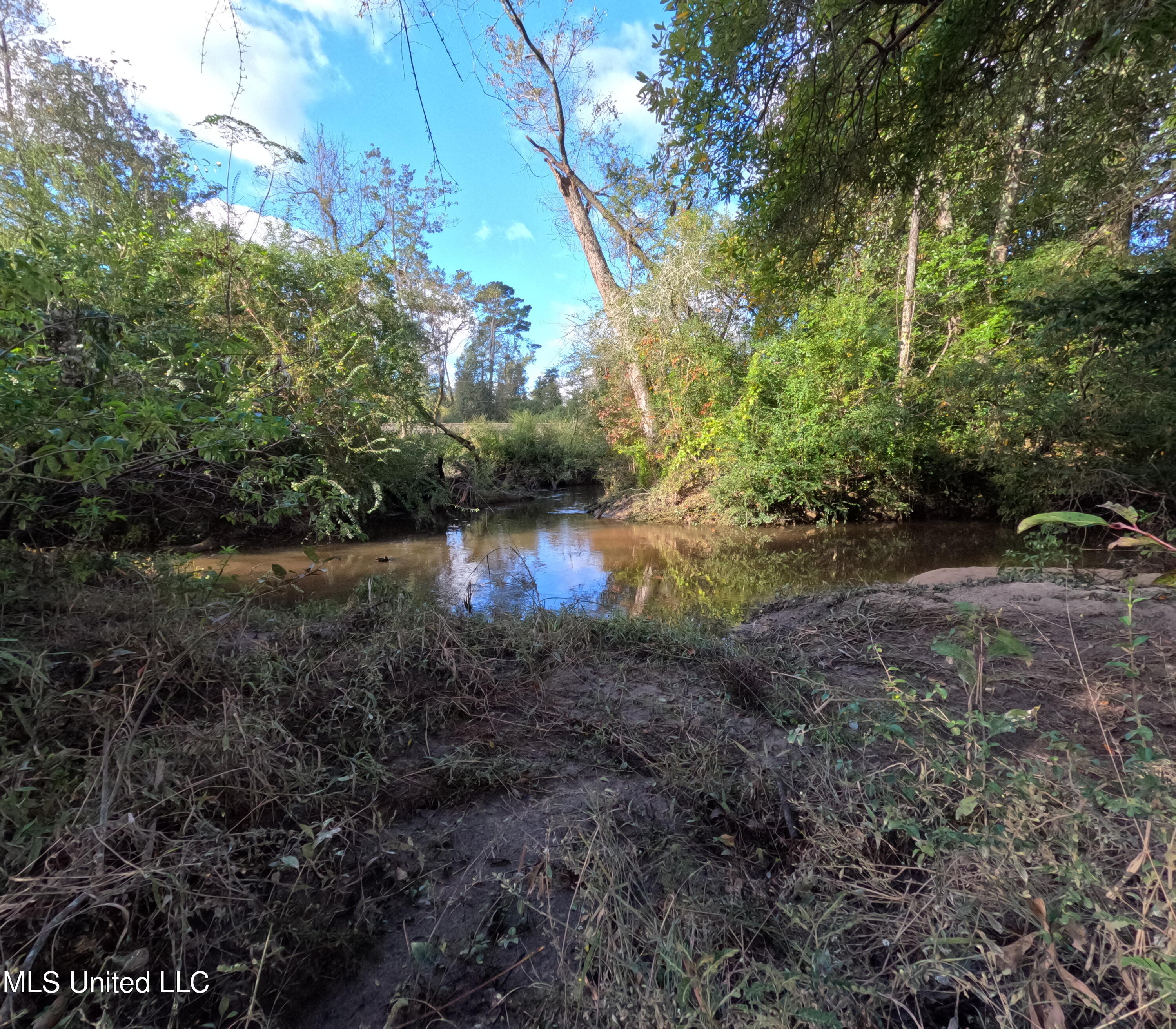 William Warren Road Property Photo 70