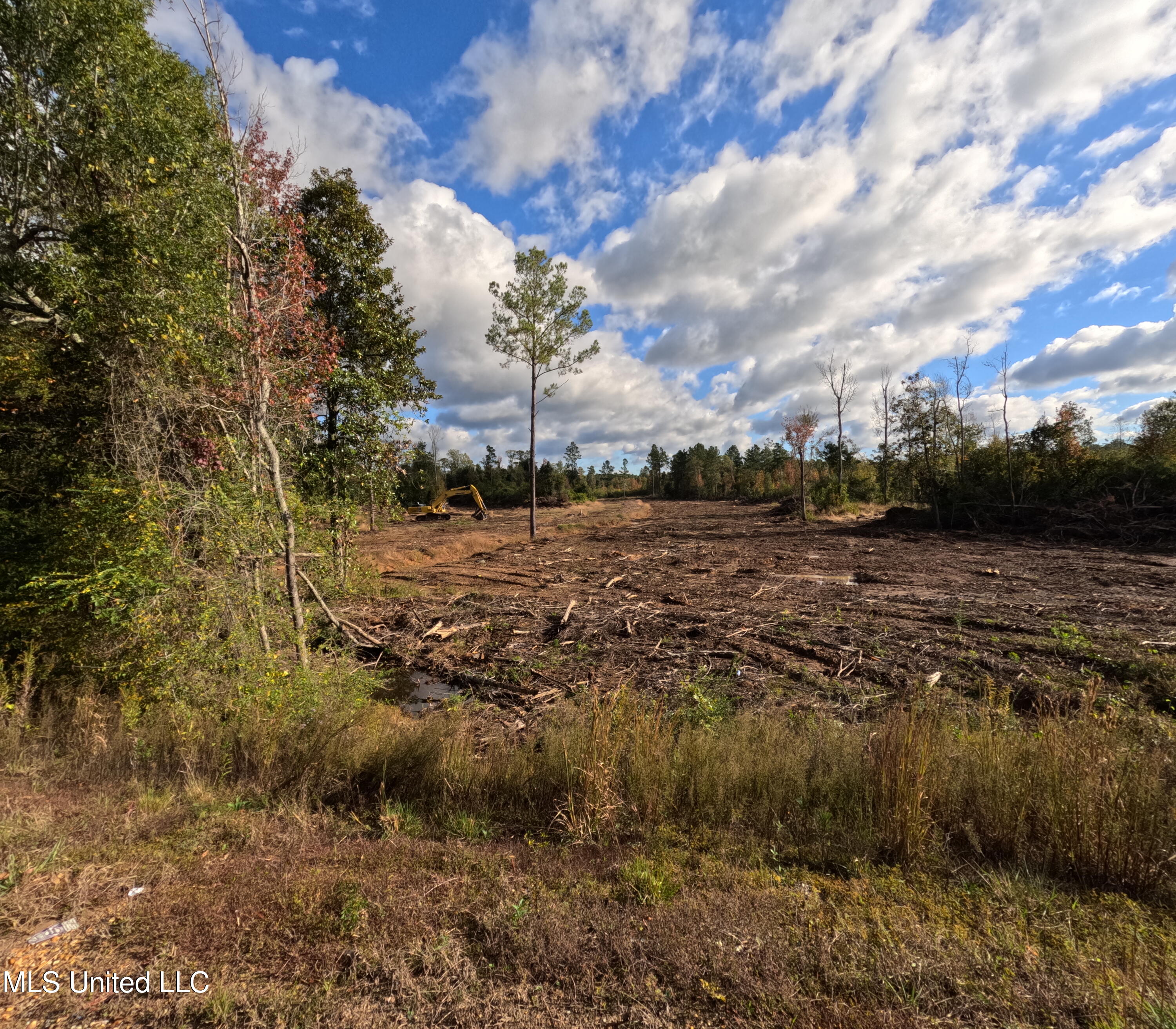 William Warren Road Property Photo 74