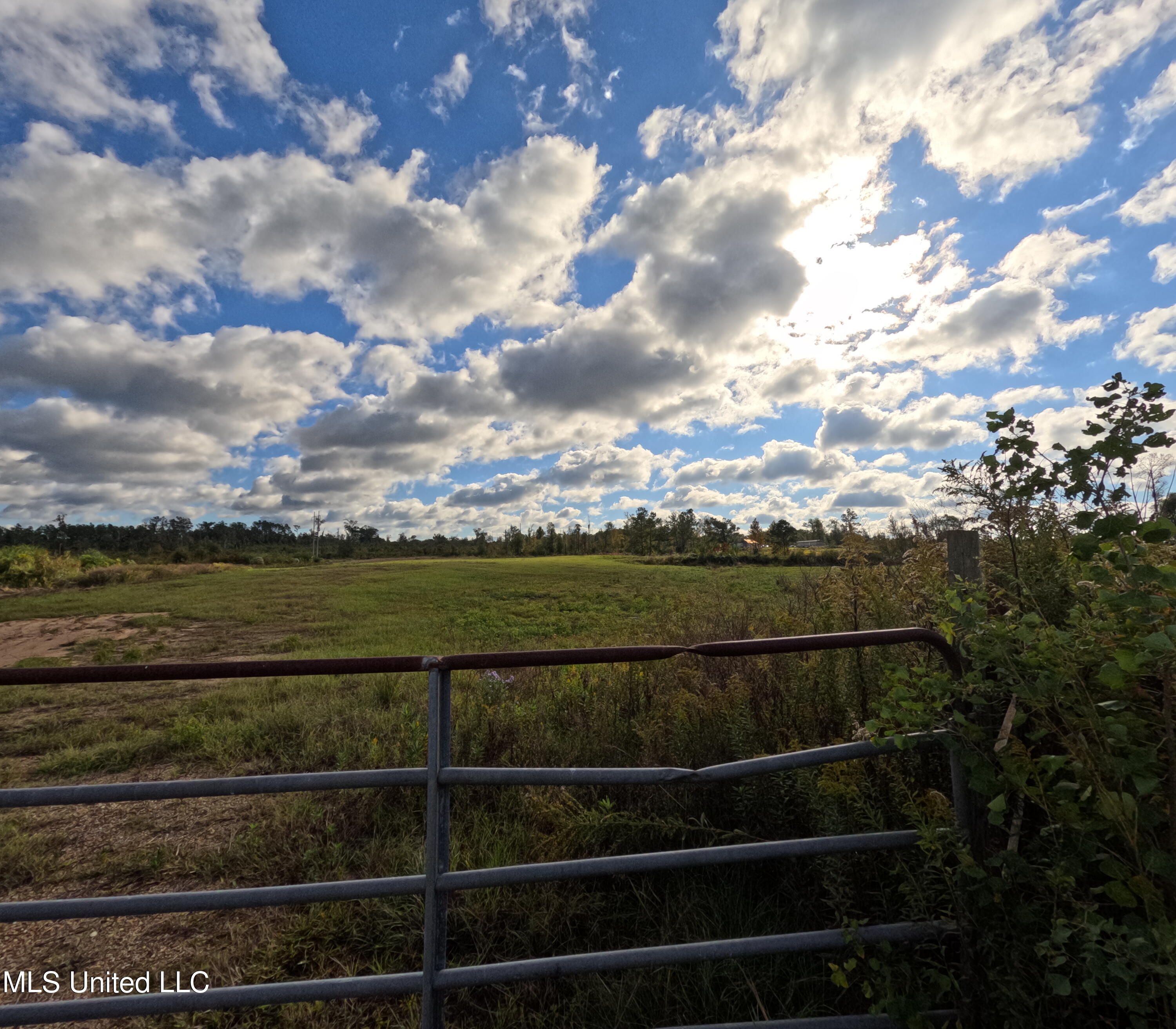 William Warren Road Property Photo 76