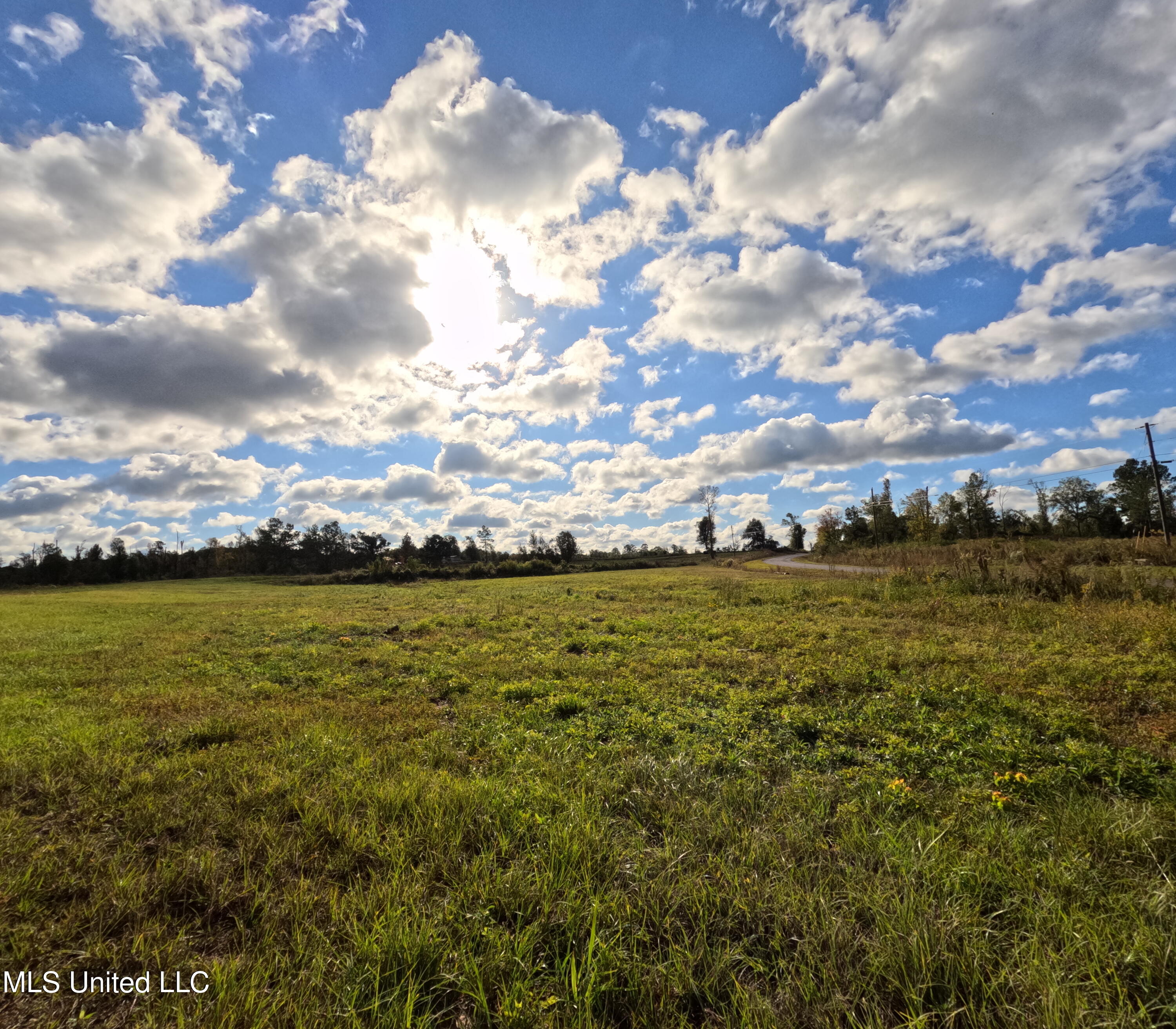William Warren Road Property Photo 77
