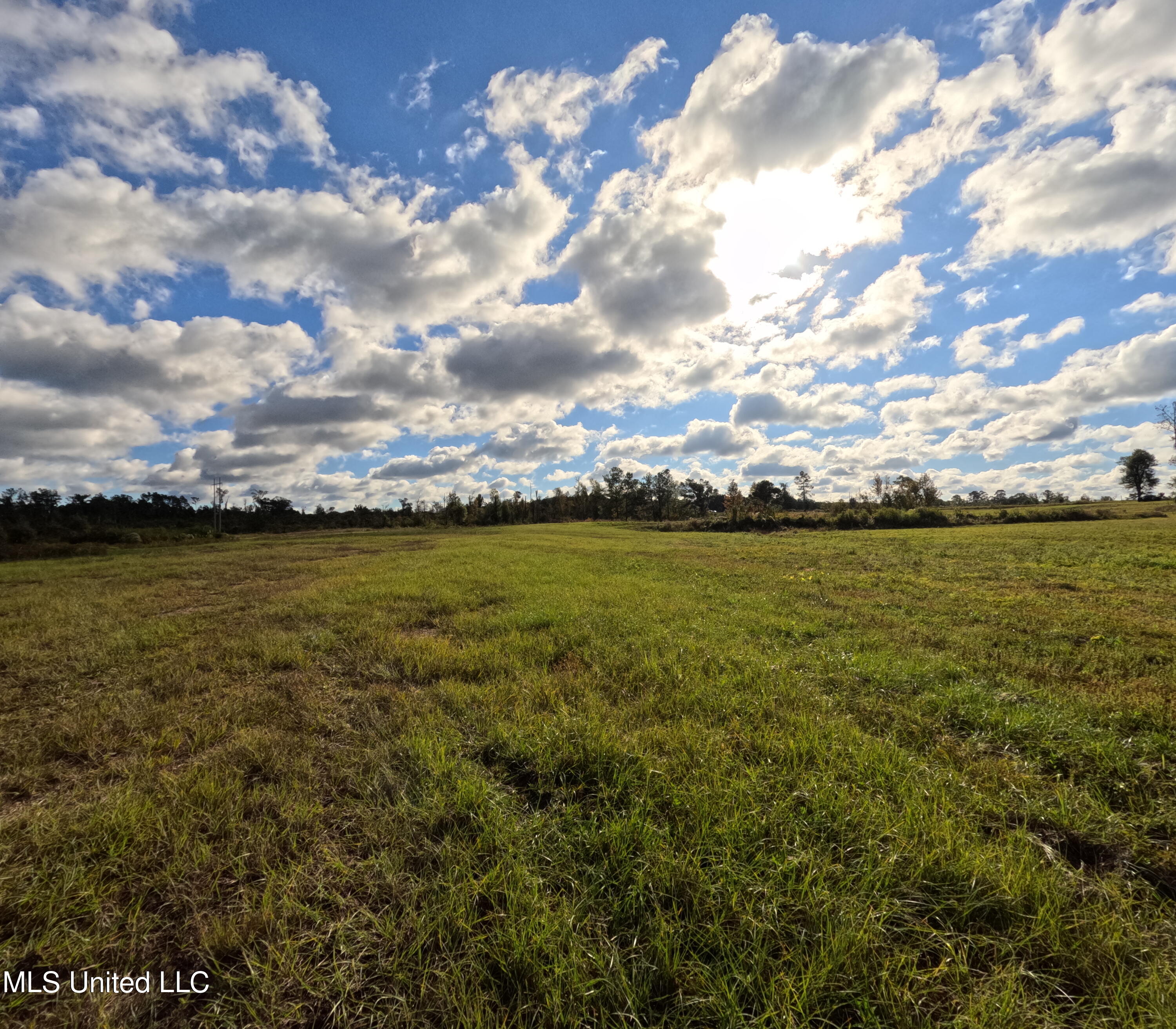 William Warren Road Property Photo 78