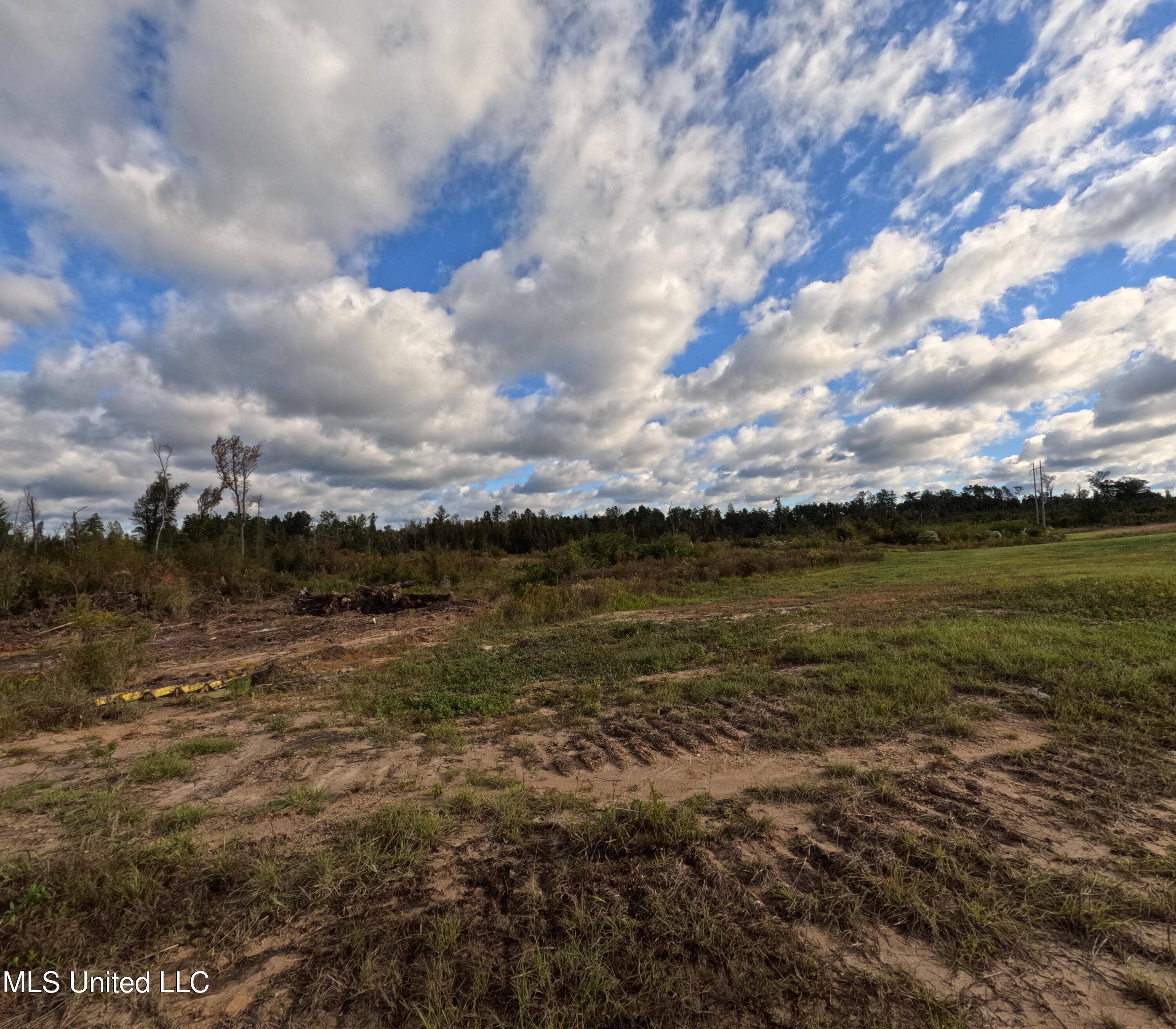 William Warren Road Property Photo 79