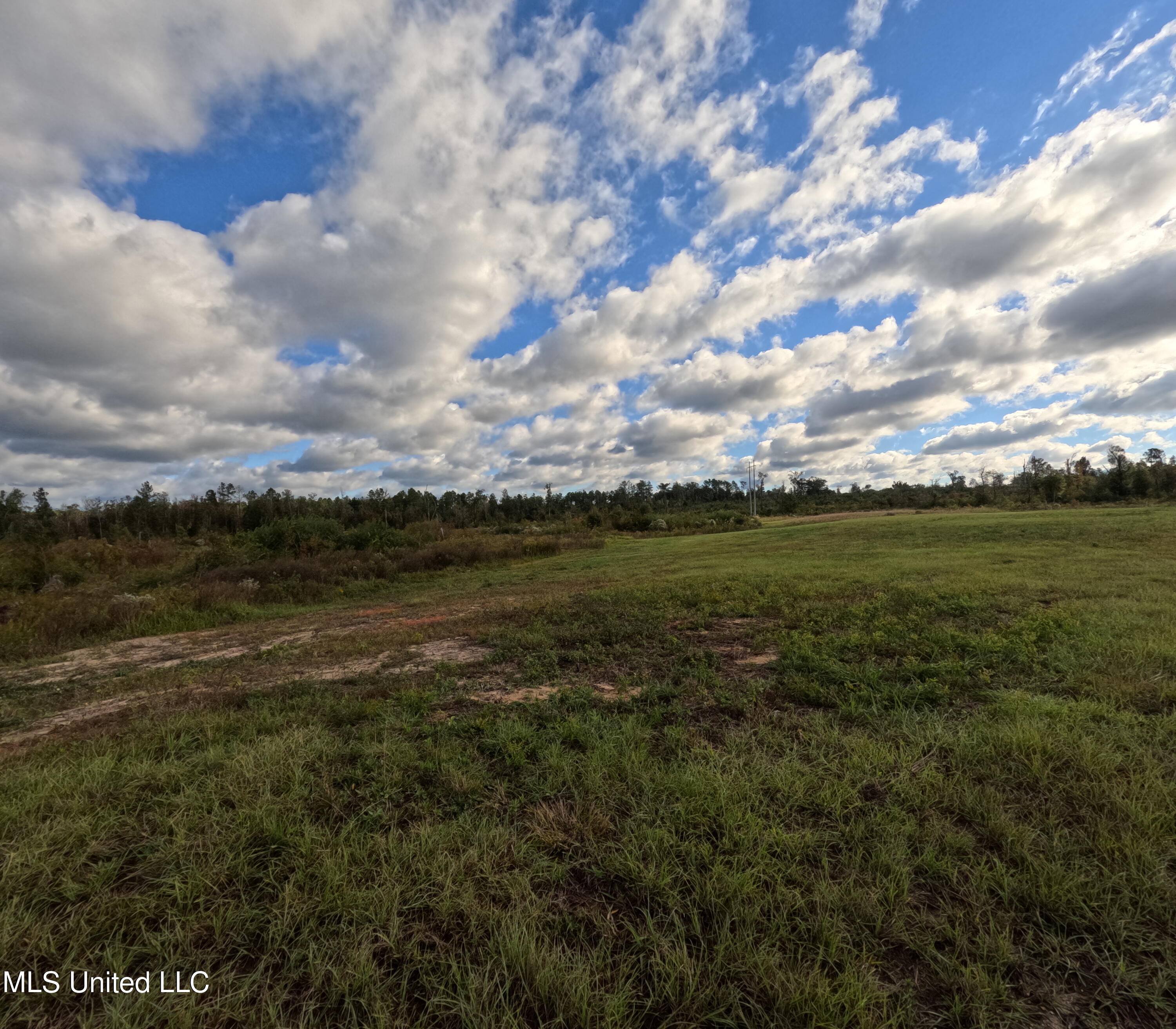 William Warren Road Property Photo 80