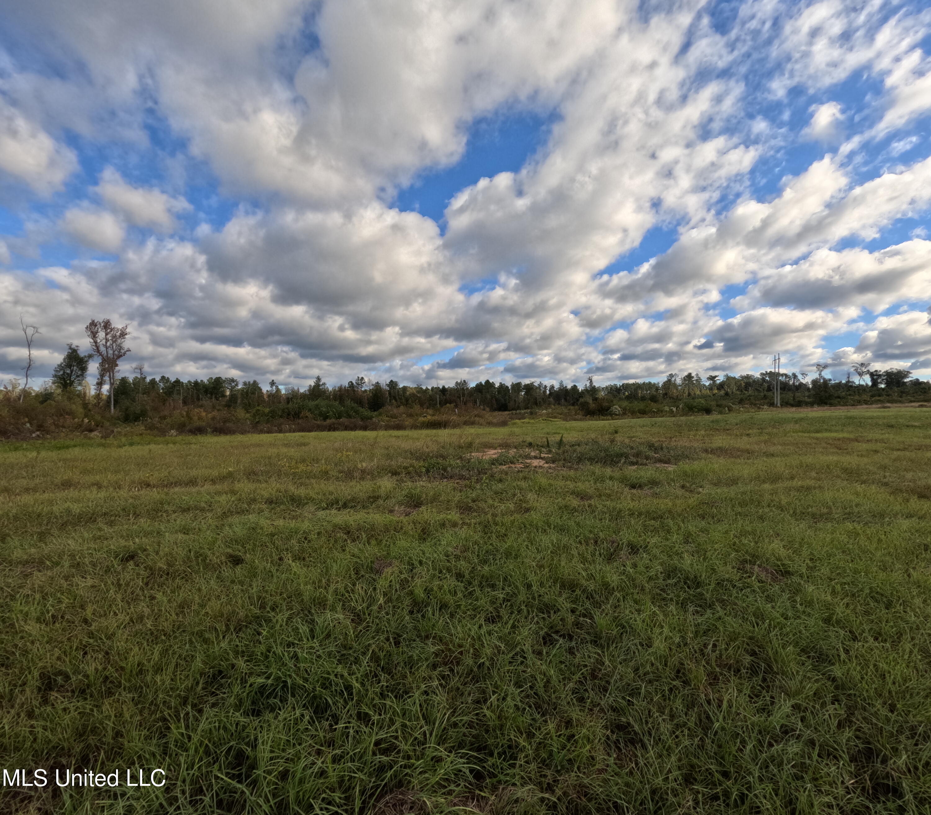 William Warren Road Property Photo 81
