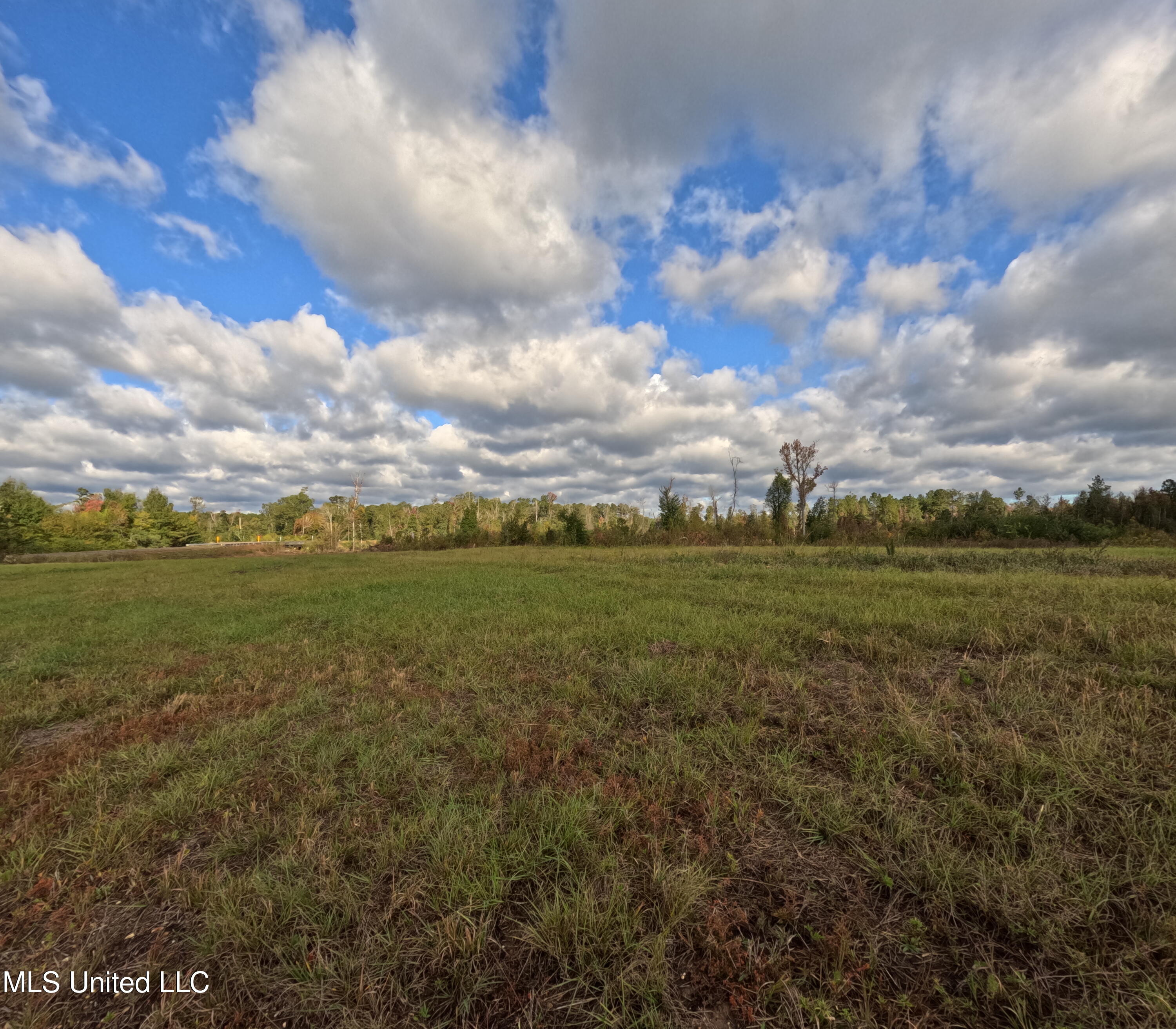 William Warren Road Property Photo 82