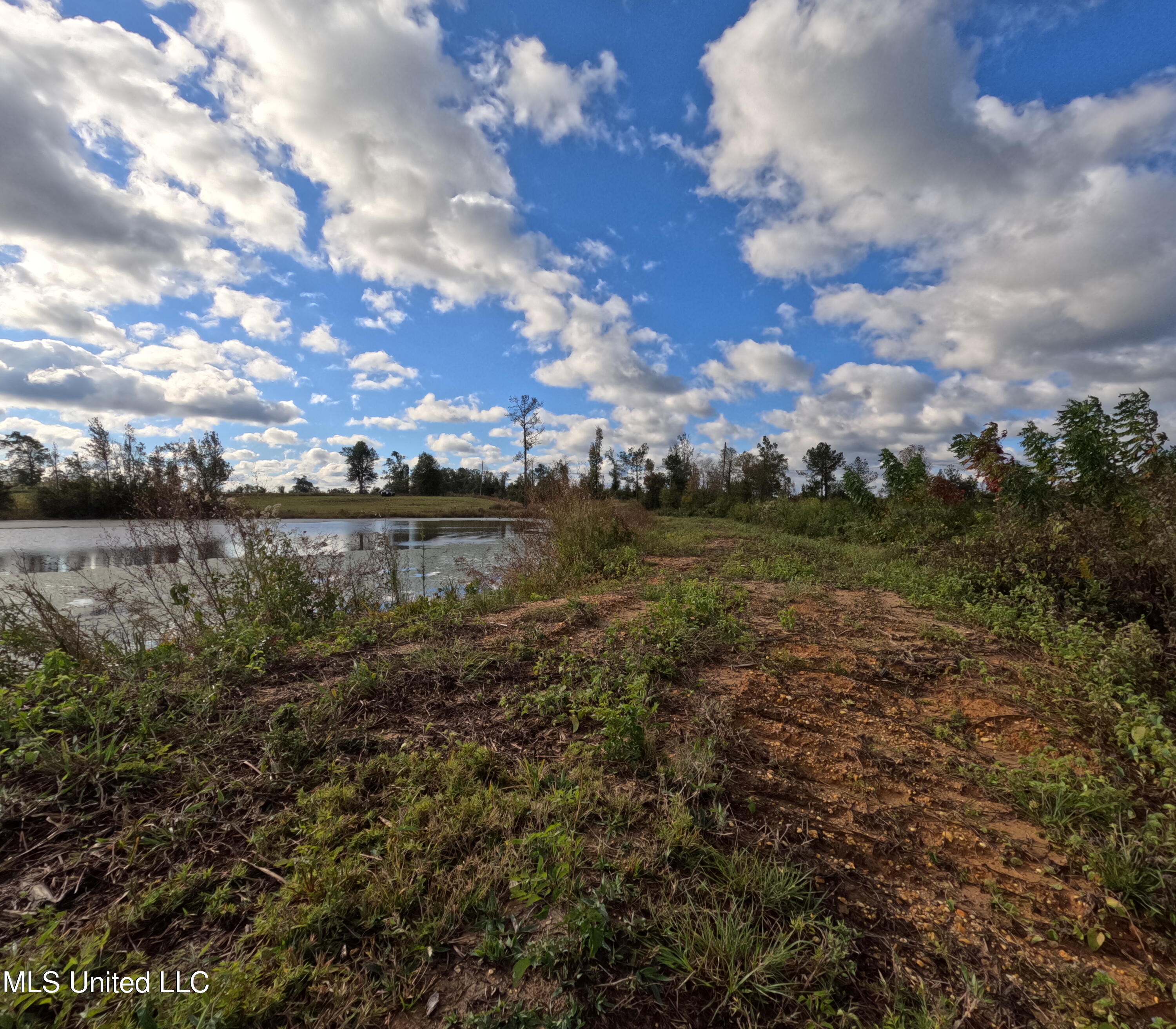 William Warren Road Property Photo 83